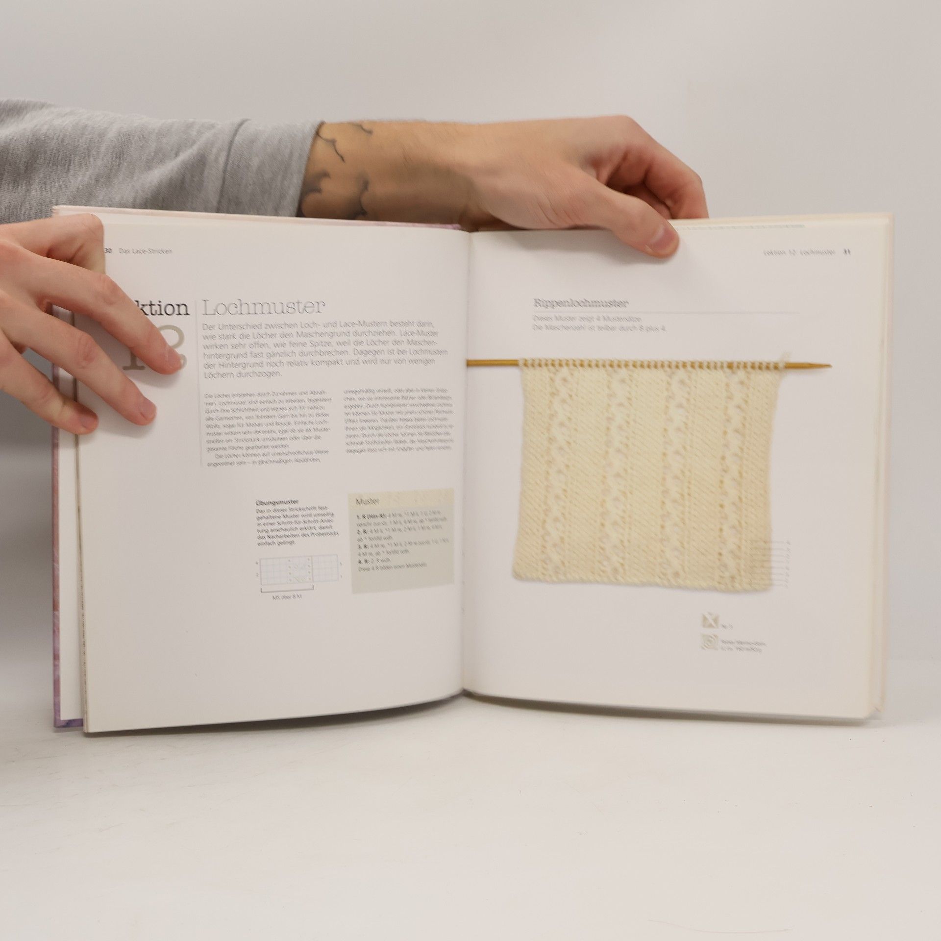 Lynne Watterson Das große Buch vom Lace-Stricken