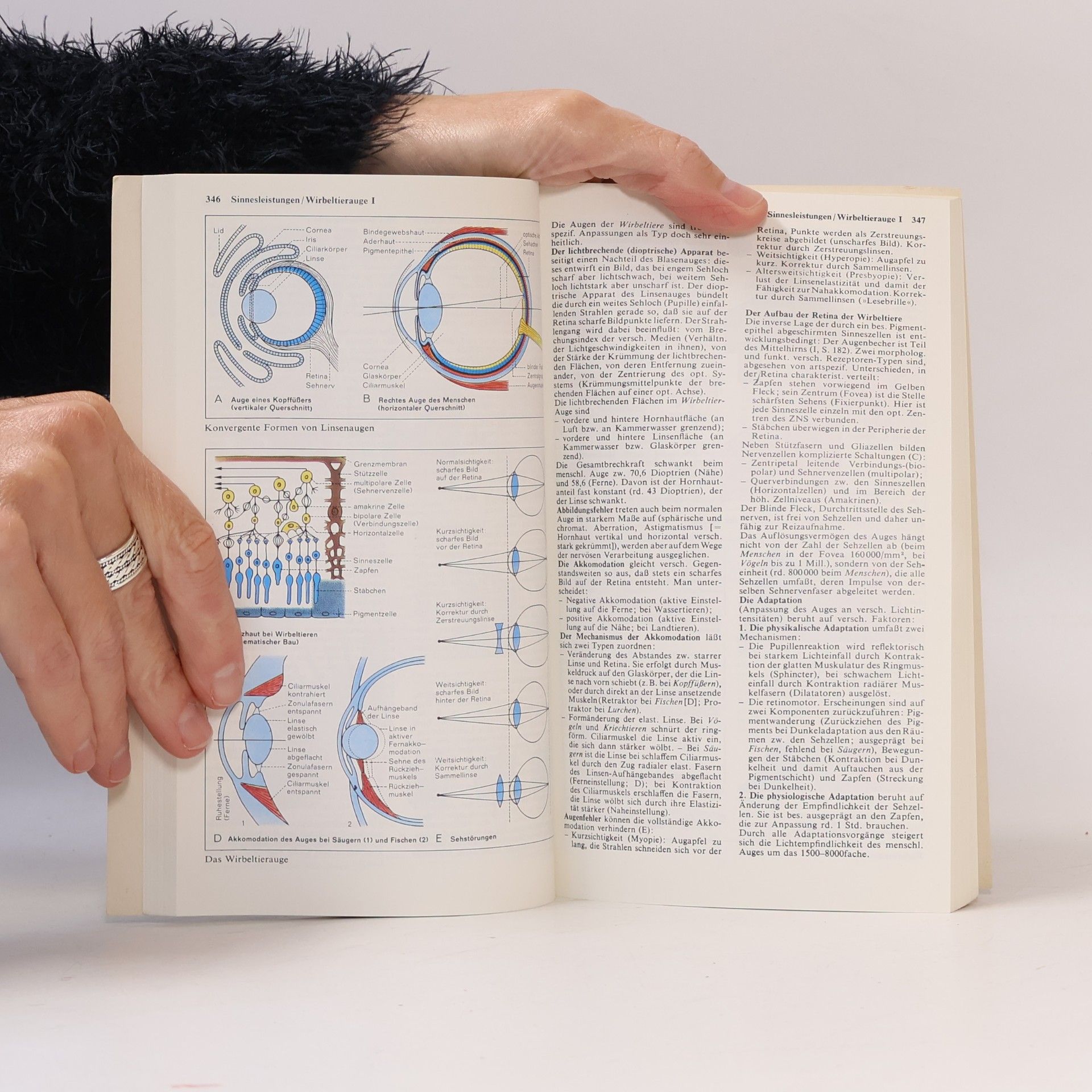 Autorenkollektiv Dtv-Atlas zur Biologie. Band 2