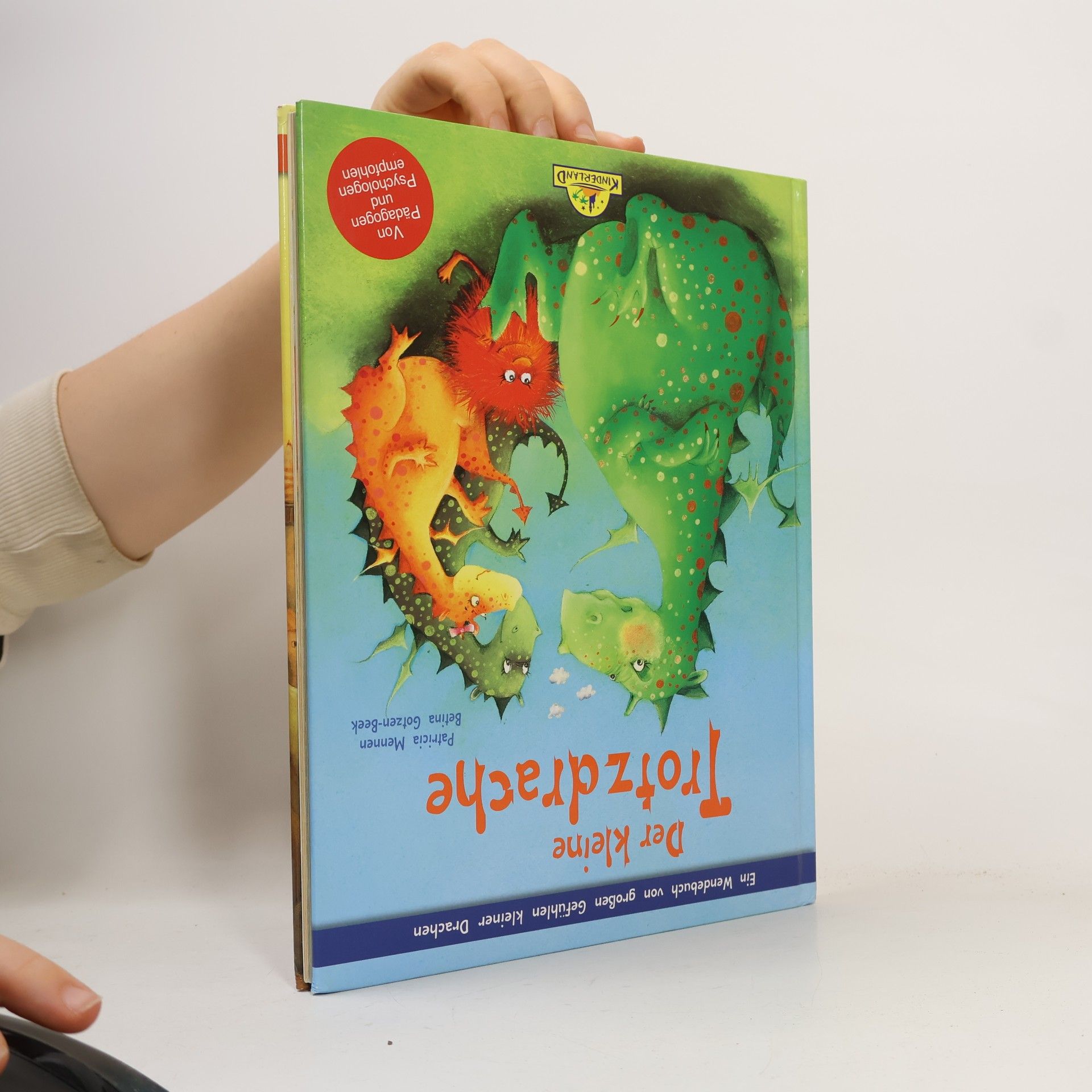 Patricia Mennen Der kleine Angstdrache