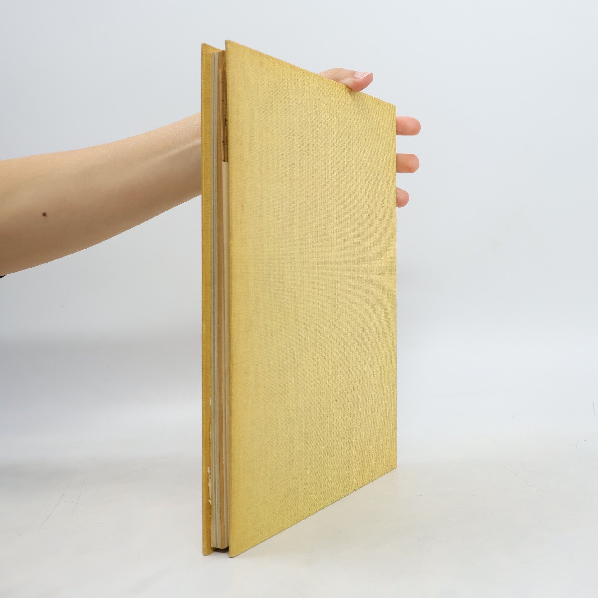 Hannelore Kopp Burda. Großes buntes Handarbeitsbuch