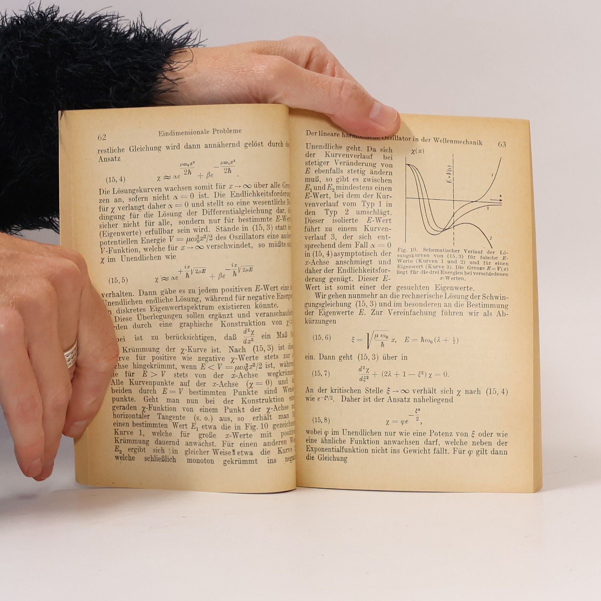 Fritz Sauter Differentialgleichungen der Physik