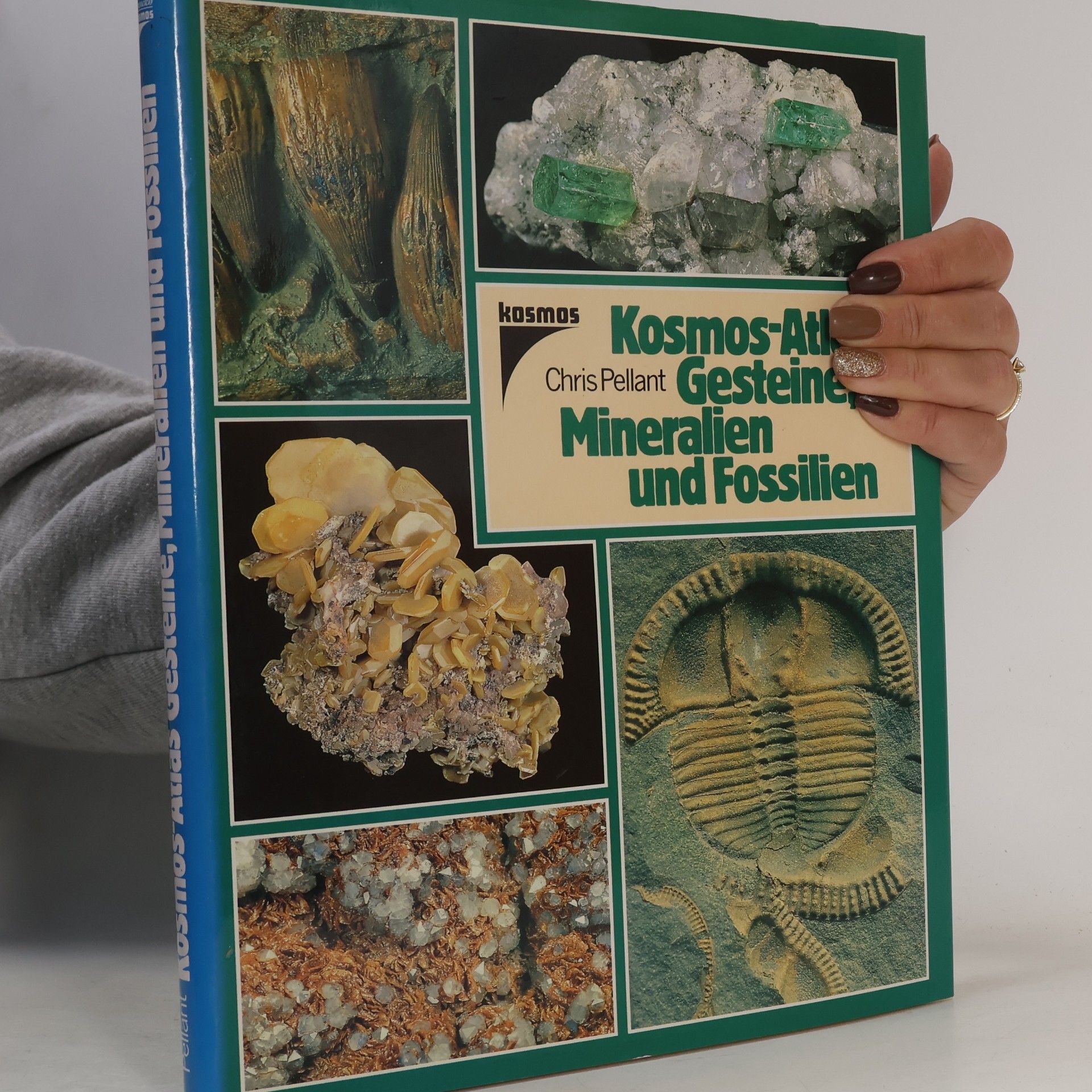 Kosmos-Atlas Gesteine, Mineralien und Fossilien