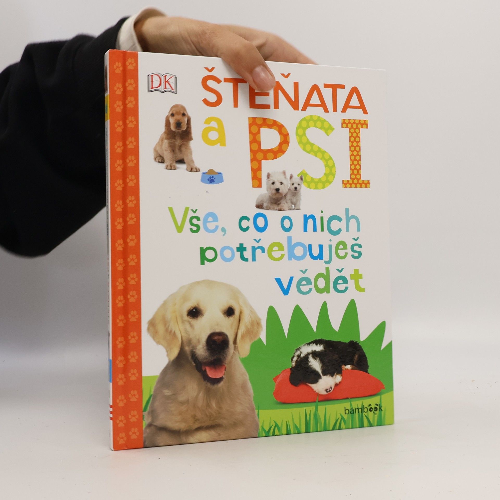 Štěňata a psi – Vše, co o nich potřebuješ vědět