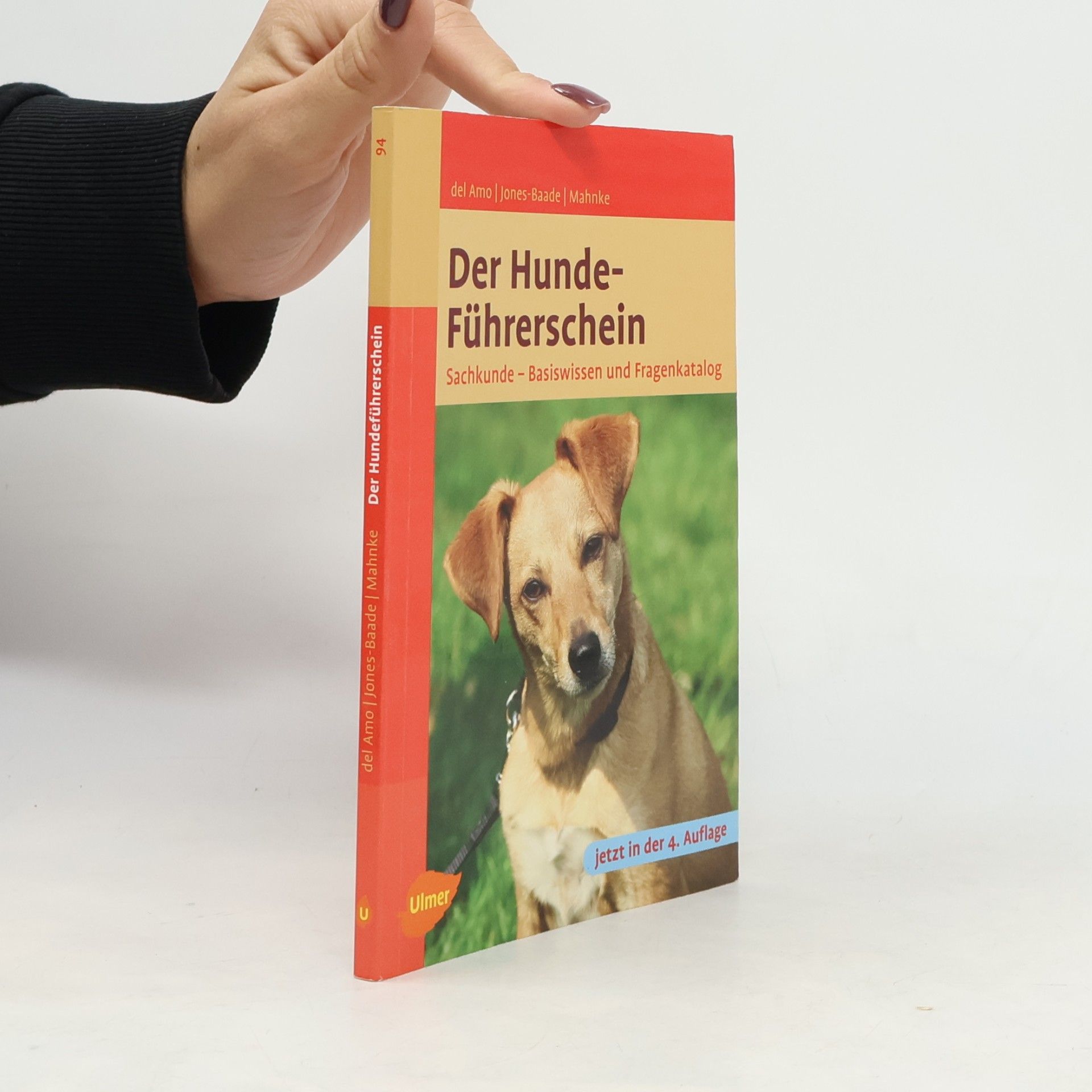 Der Hunde-Führerschein