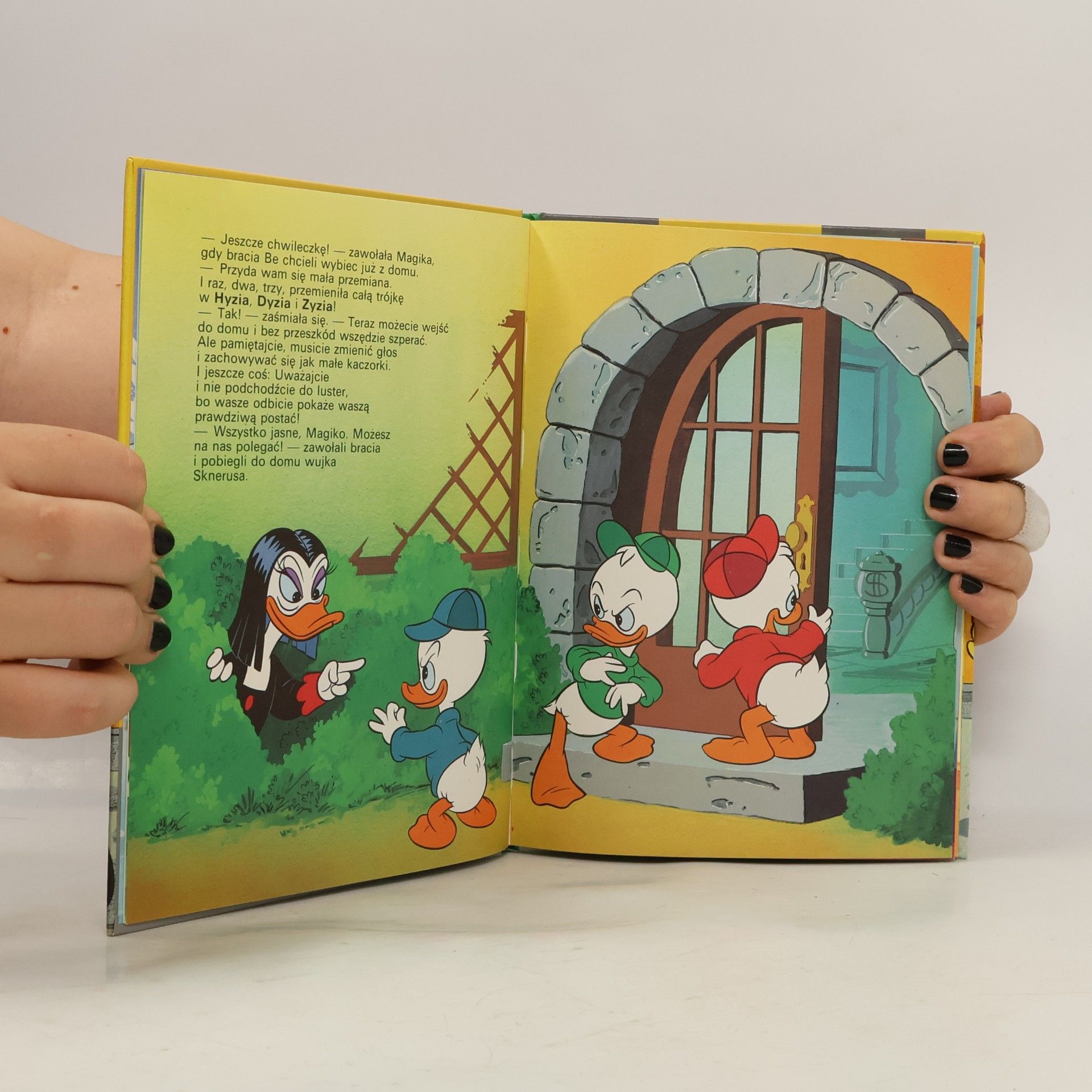 Kolektiv autorů DuckTales