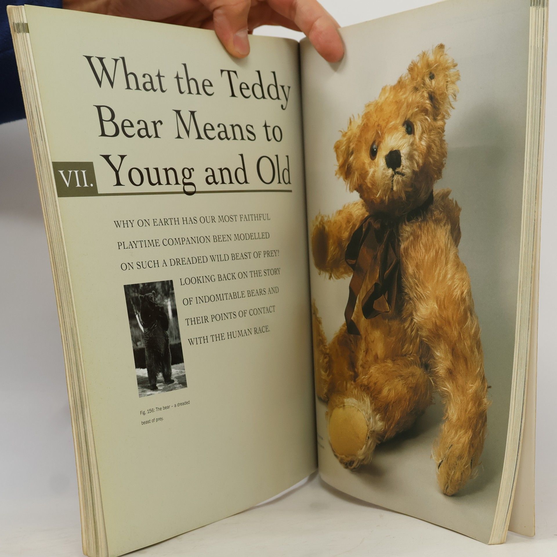 Günther Pfeiffer The Story of the Steiff Teddy Bear