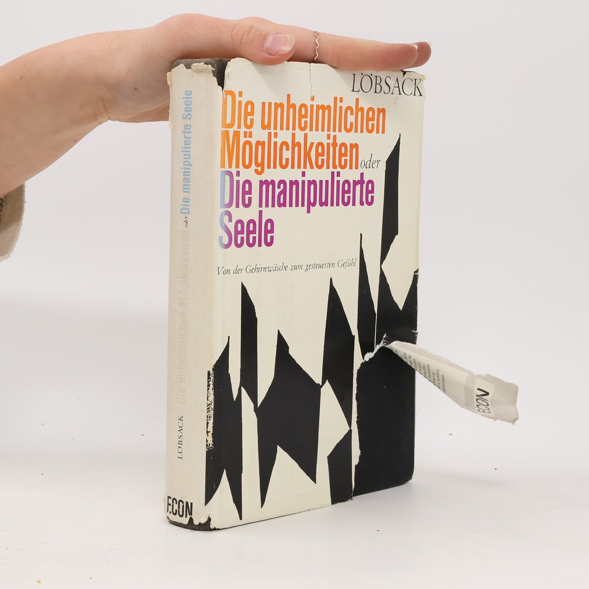 Theo Löbsack Die unheimlichen Möglichkeiten. Die manipulierte Seele