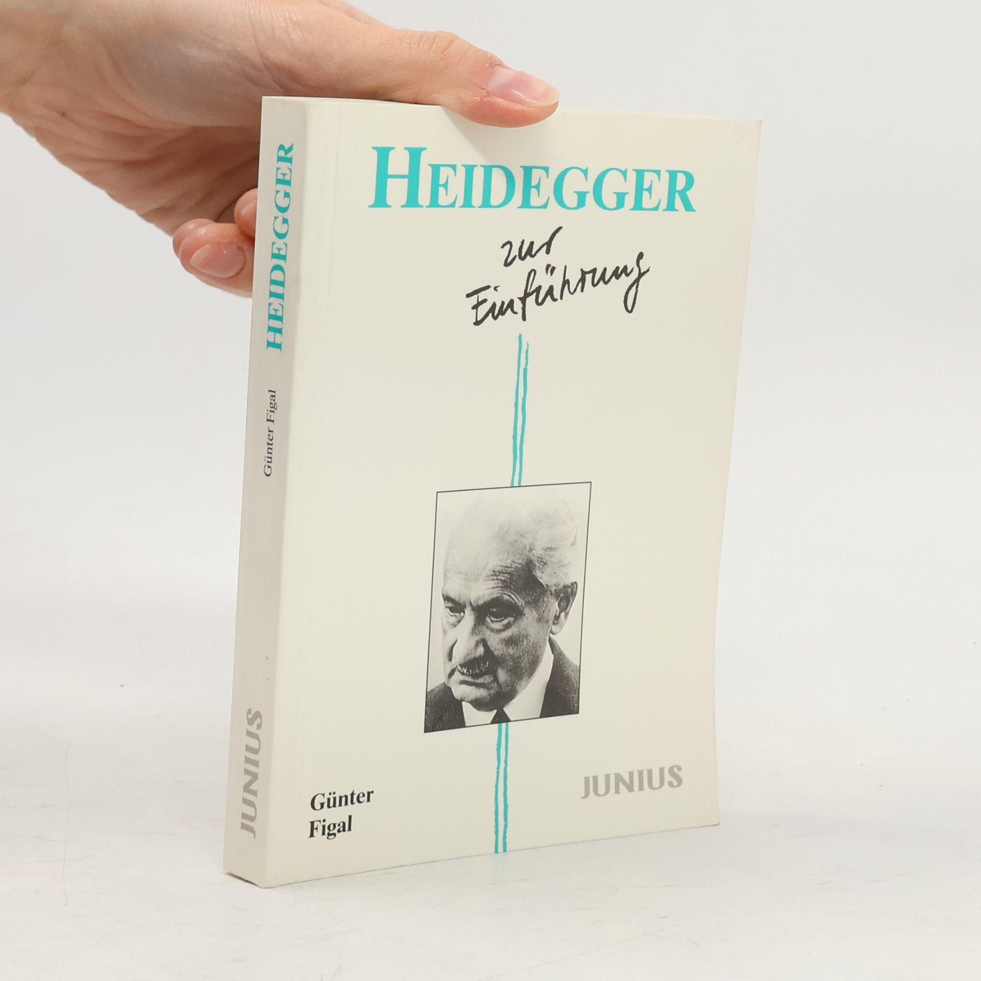 Heidegger zur Einführung