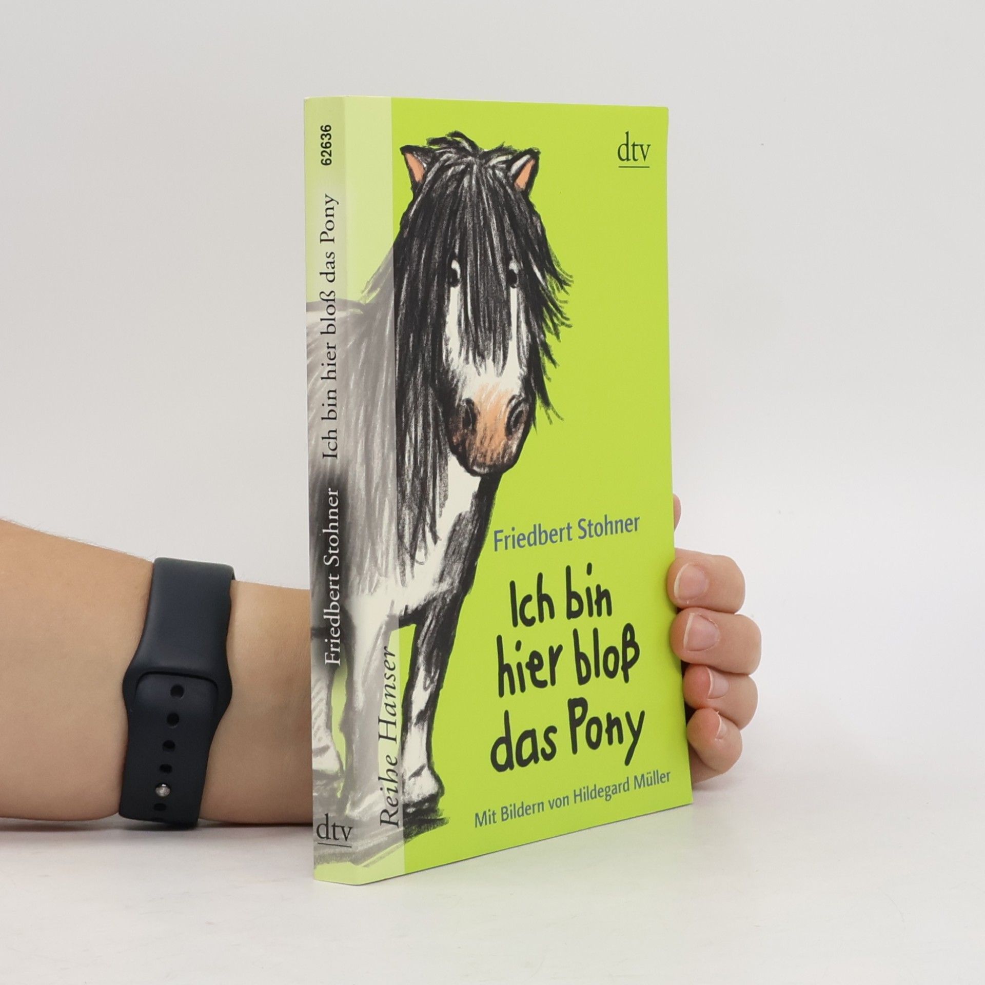 Ich bin hier bloß das Pony