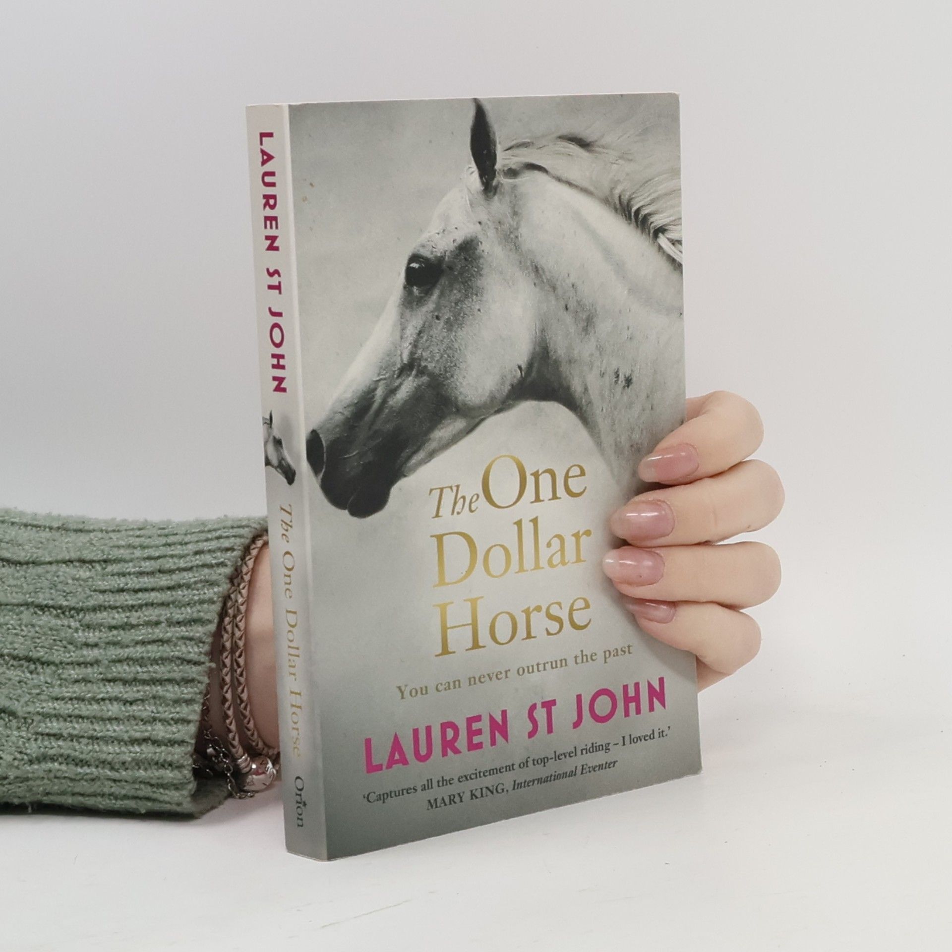 Lauren St. John The One Dollar Horse