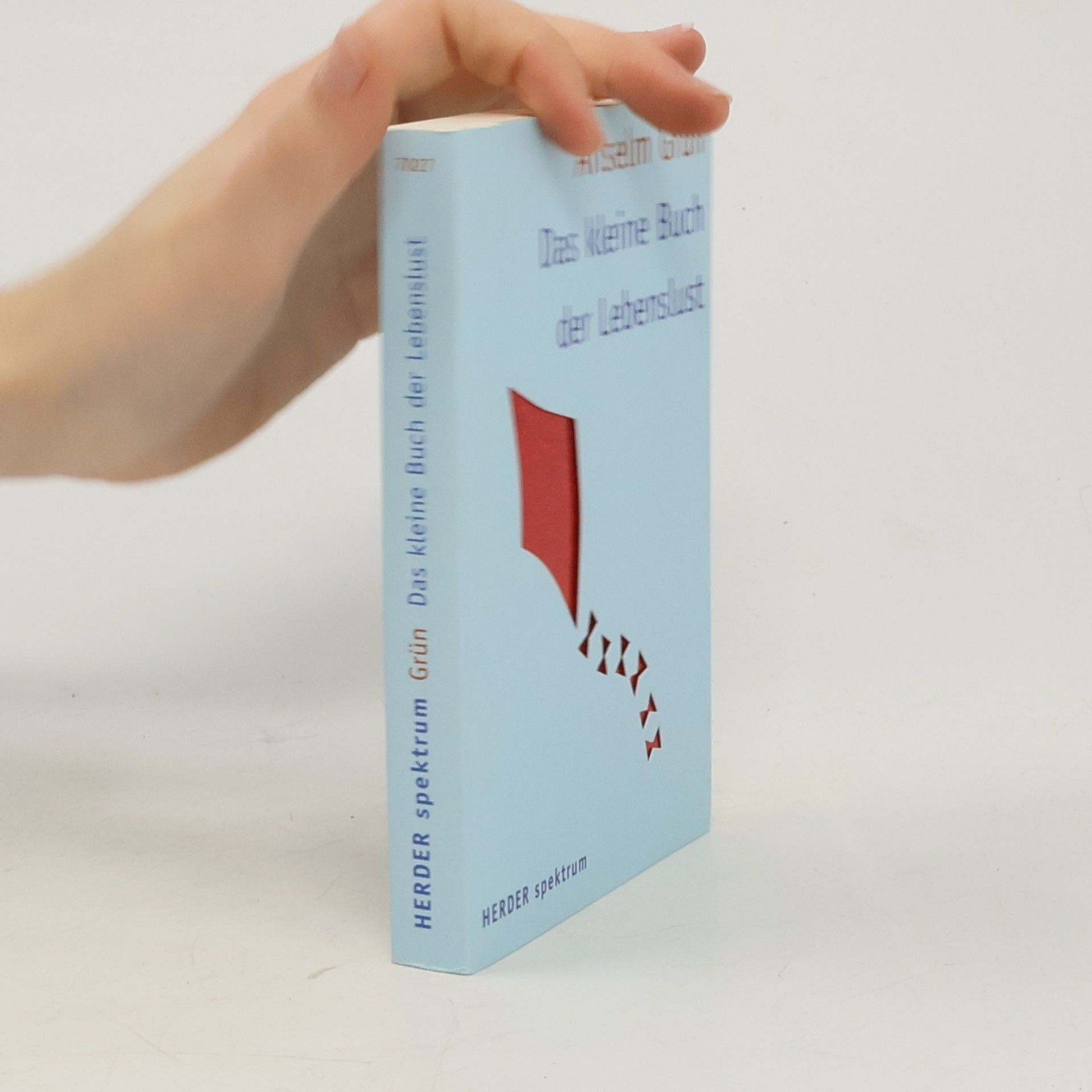 Anselm Grün Das kleine Buch der Lebenslust