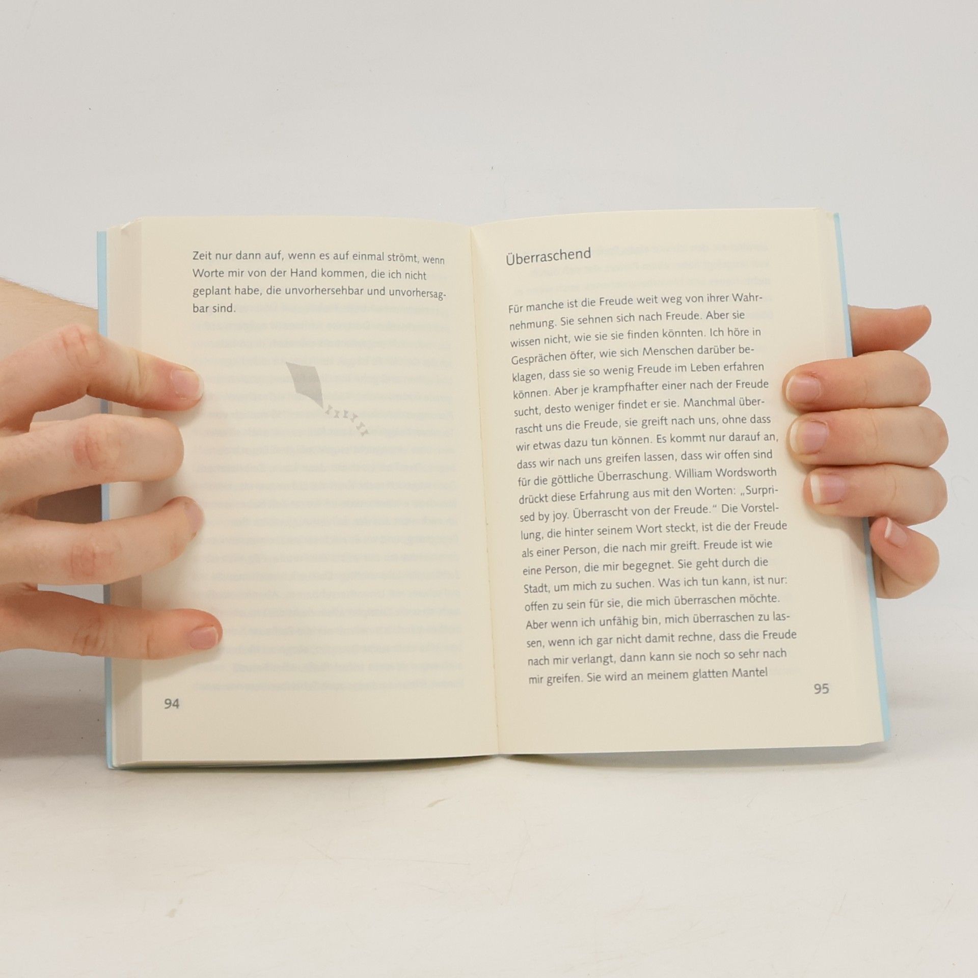 Anselm Grün Das kleine Buch der Lebenslust