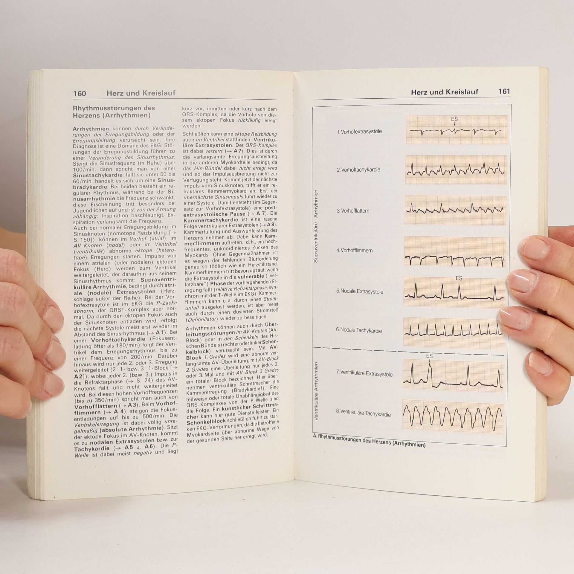 S. Silbernagl Taschenatlas der Physiologie