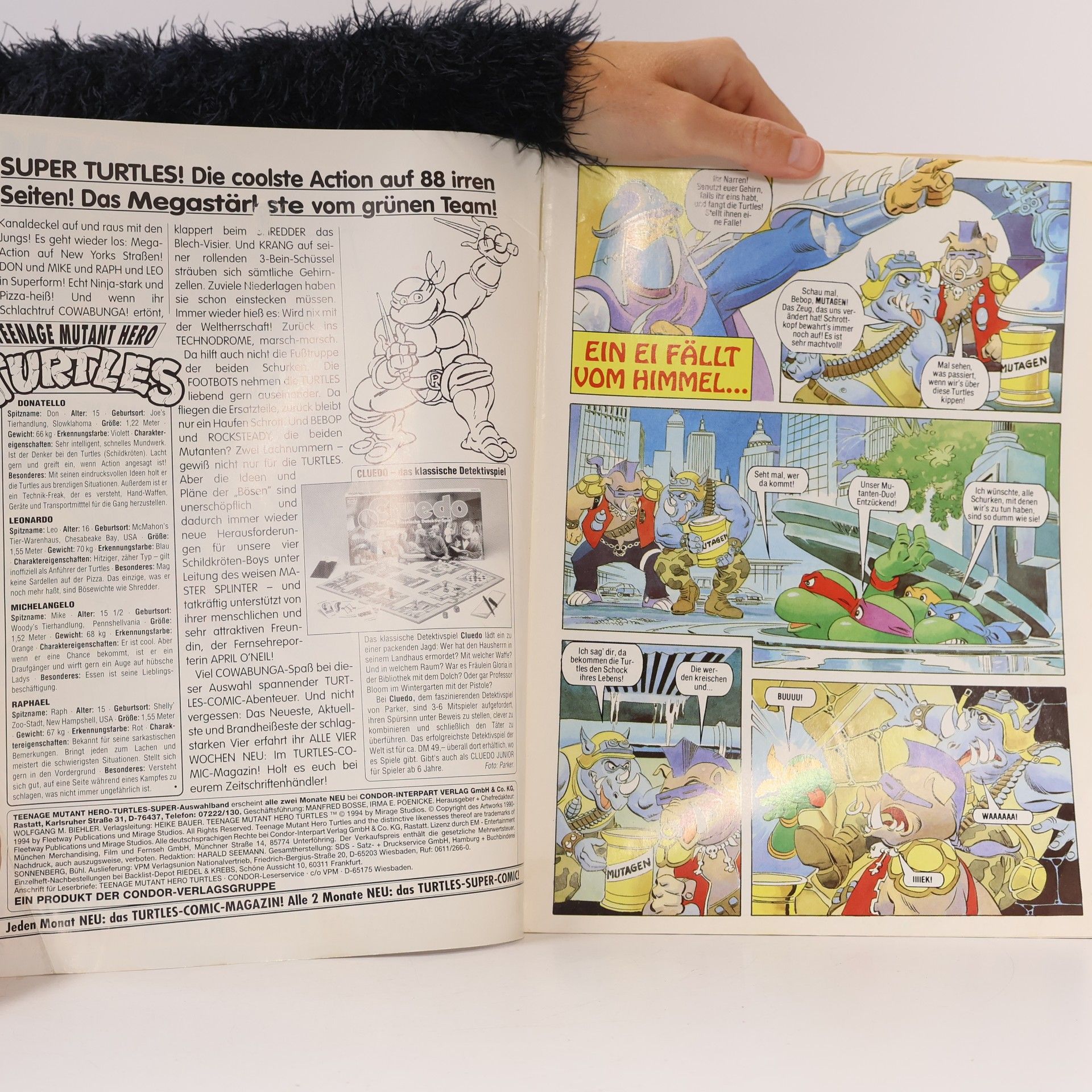 Eastman Teenage Mutant Hero Turtles