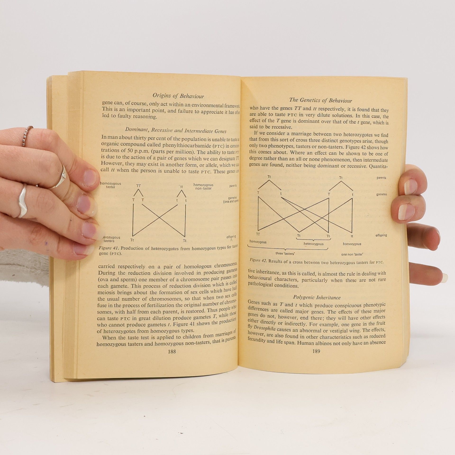Brian M. Foss New Horizons in Psychology