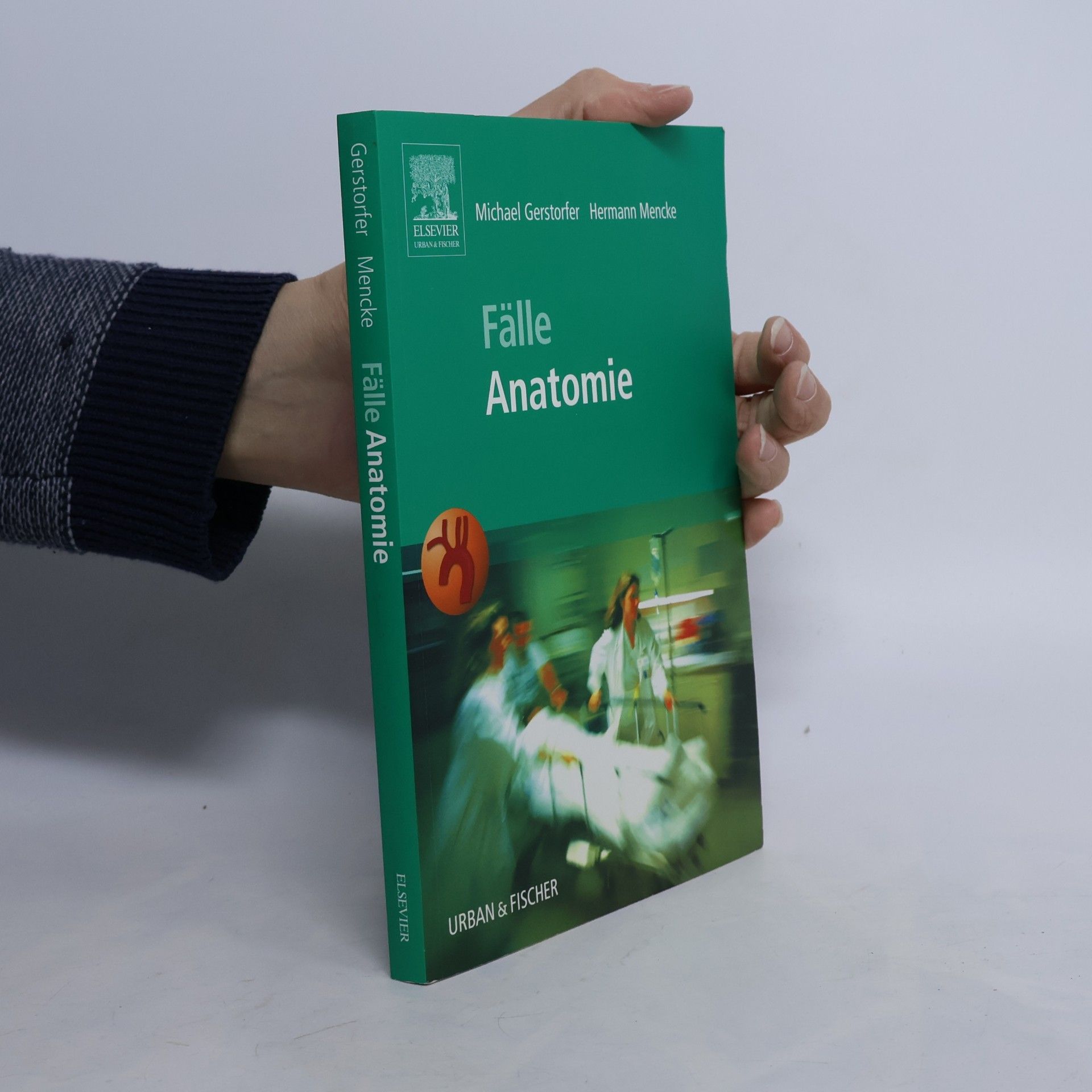 Fälle Anatomie