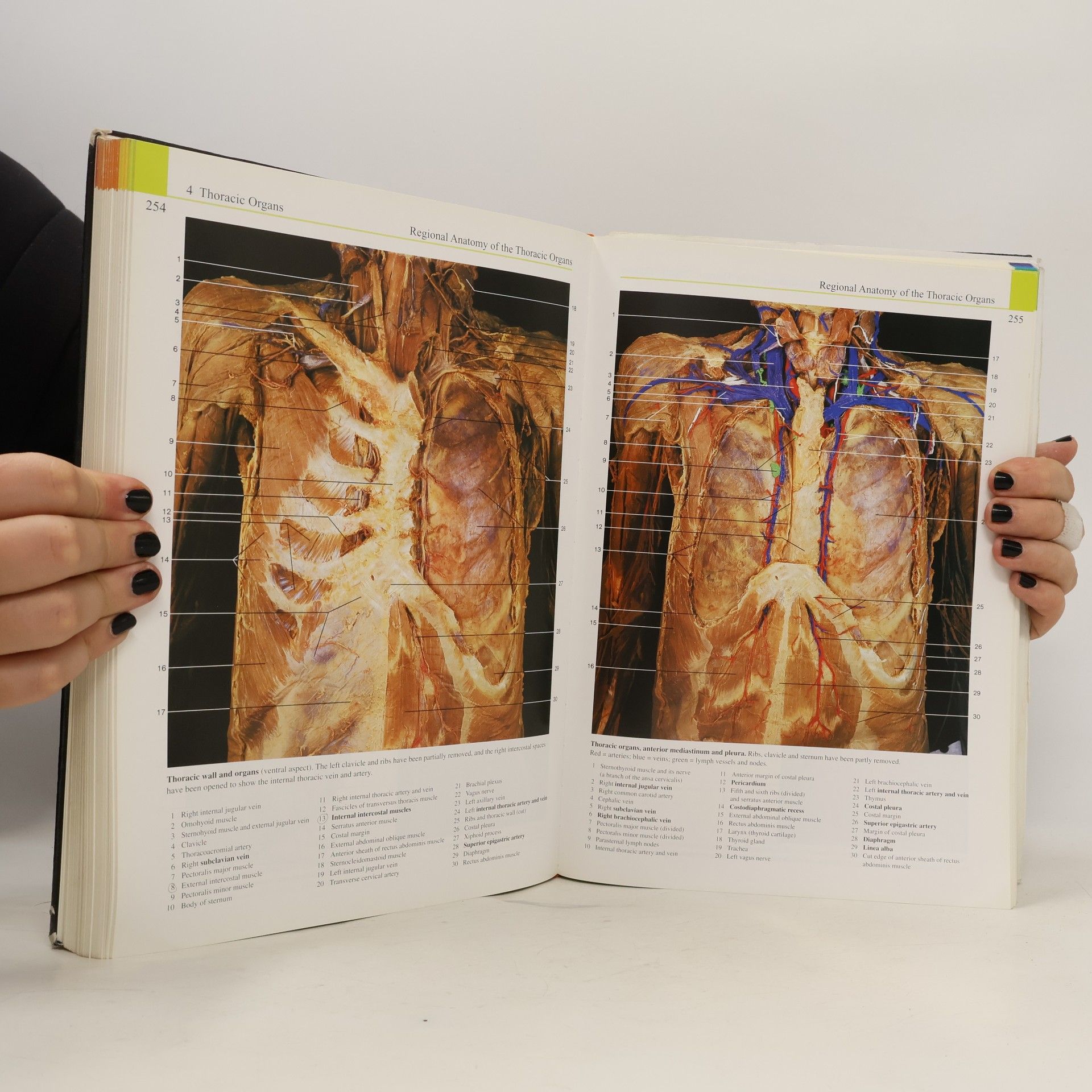 Johannes W. Rohen Color Atlas of Anatomy
