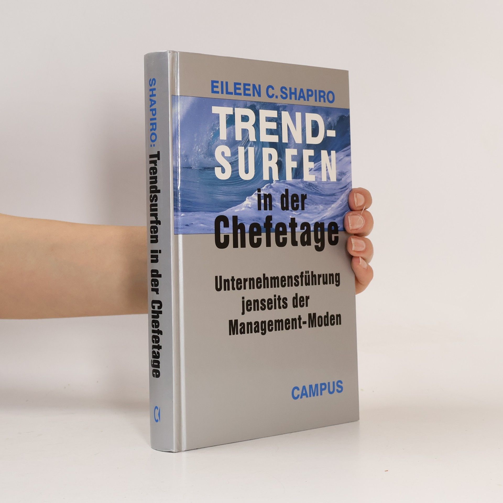 Eileen C. Shapiro Trendsurfen in der Chefetage