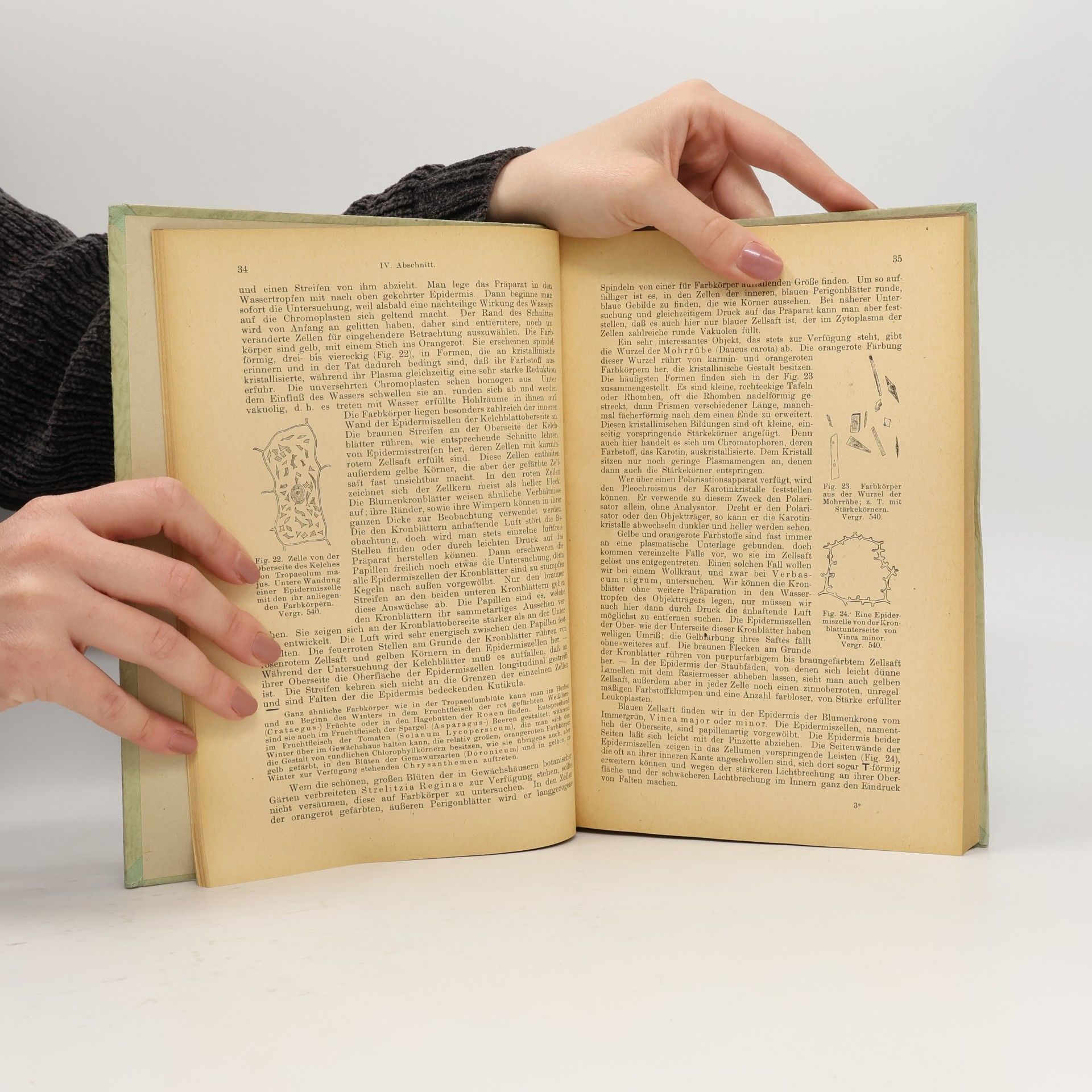 Eduard Strasburger Das kleine botanische Praktikum