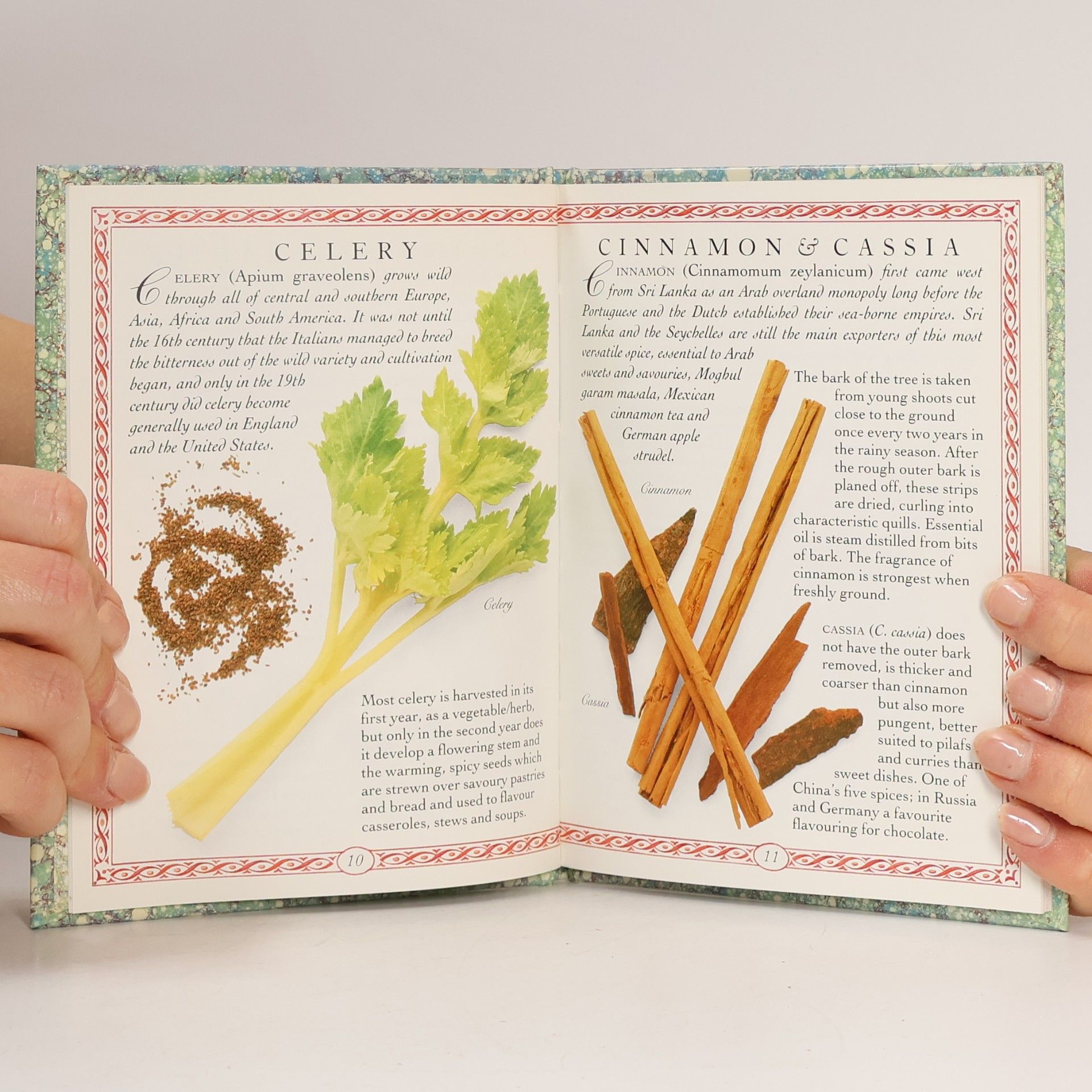 Jill Norman Spices