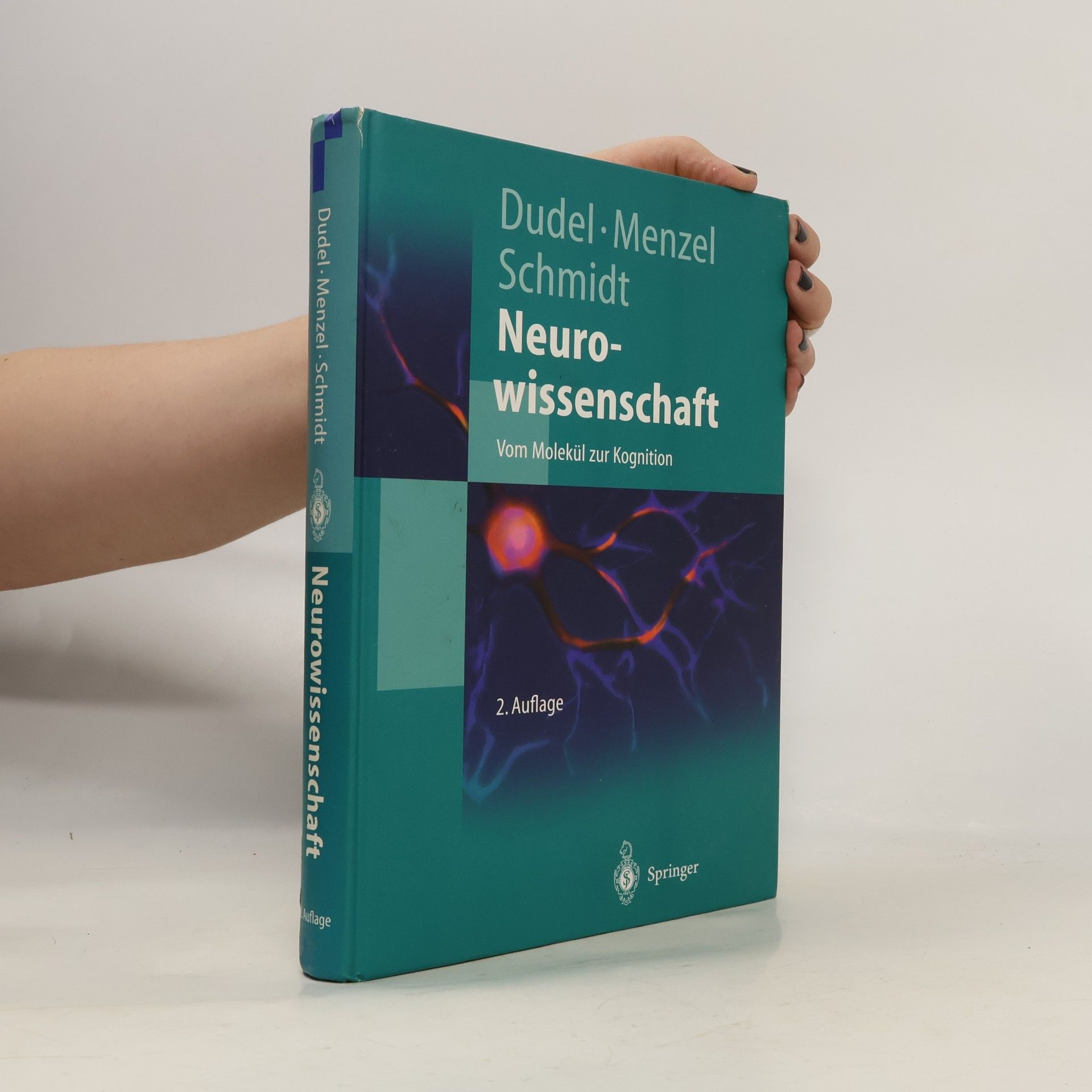 Neurowissenschaft