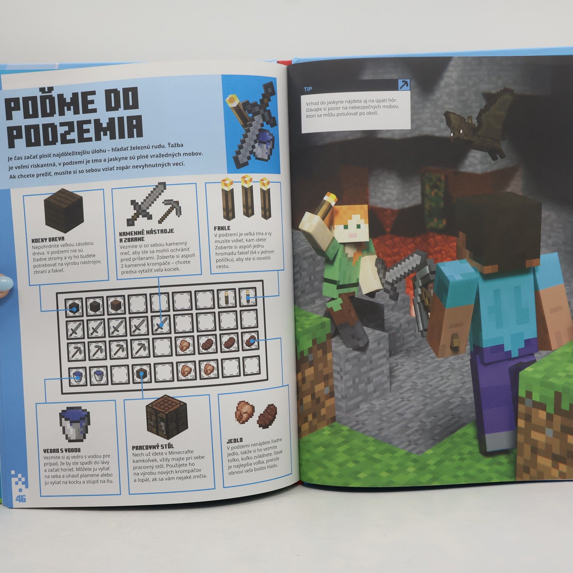 Stephanie Milton Minecraft : začíname hrať