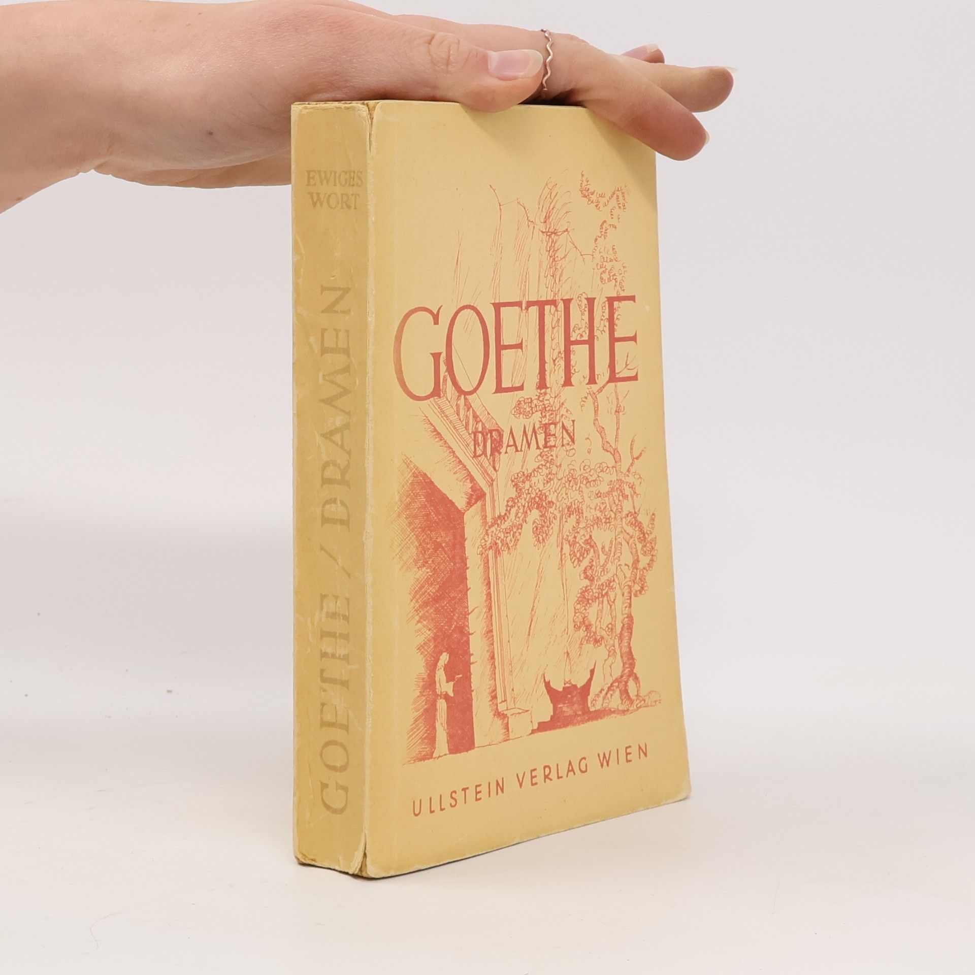 Johann Wolfgang von Goethe Goethe