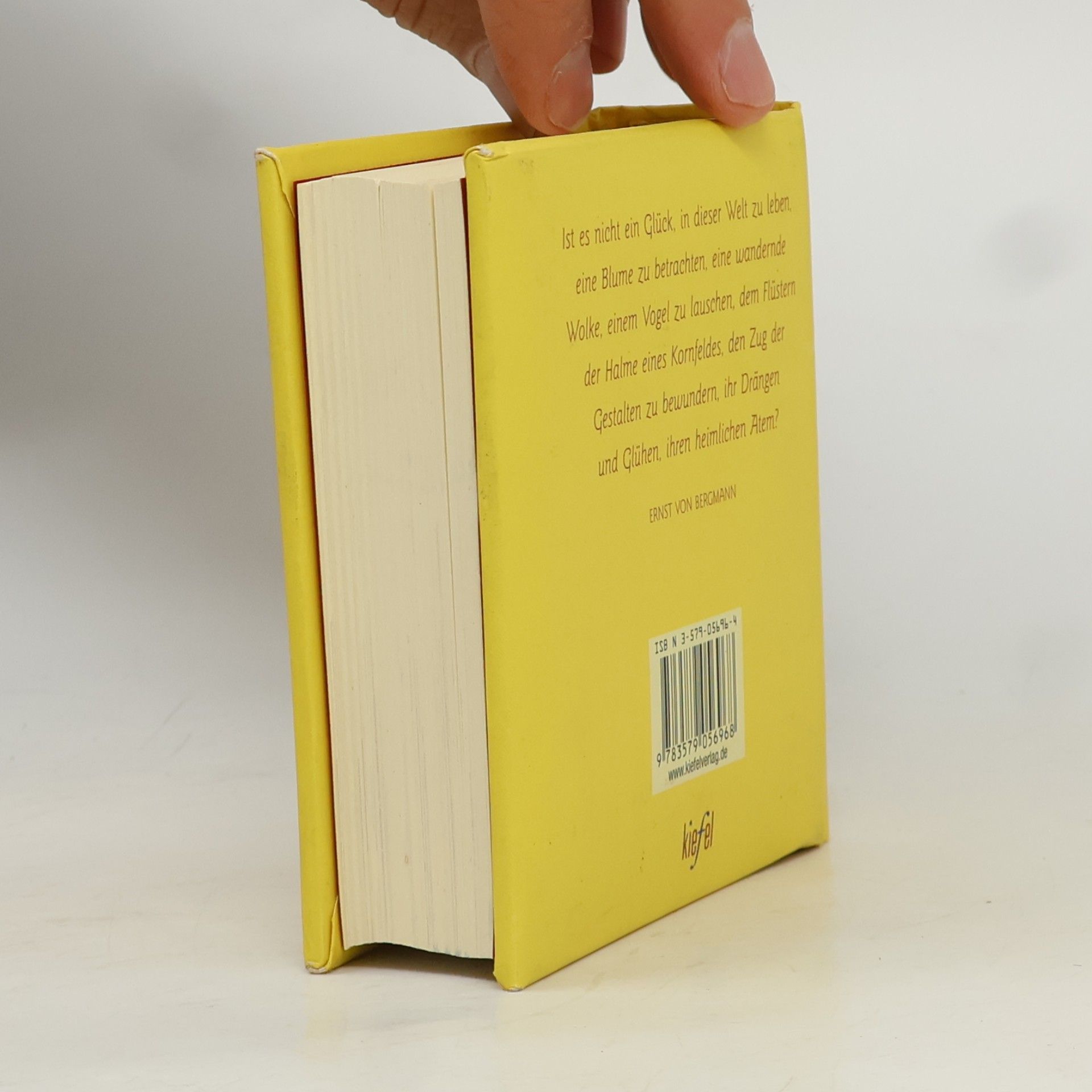 Glück für alle Tage (Ed. Kiefel)