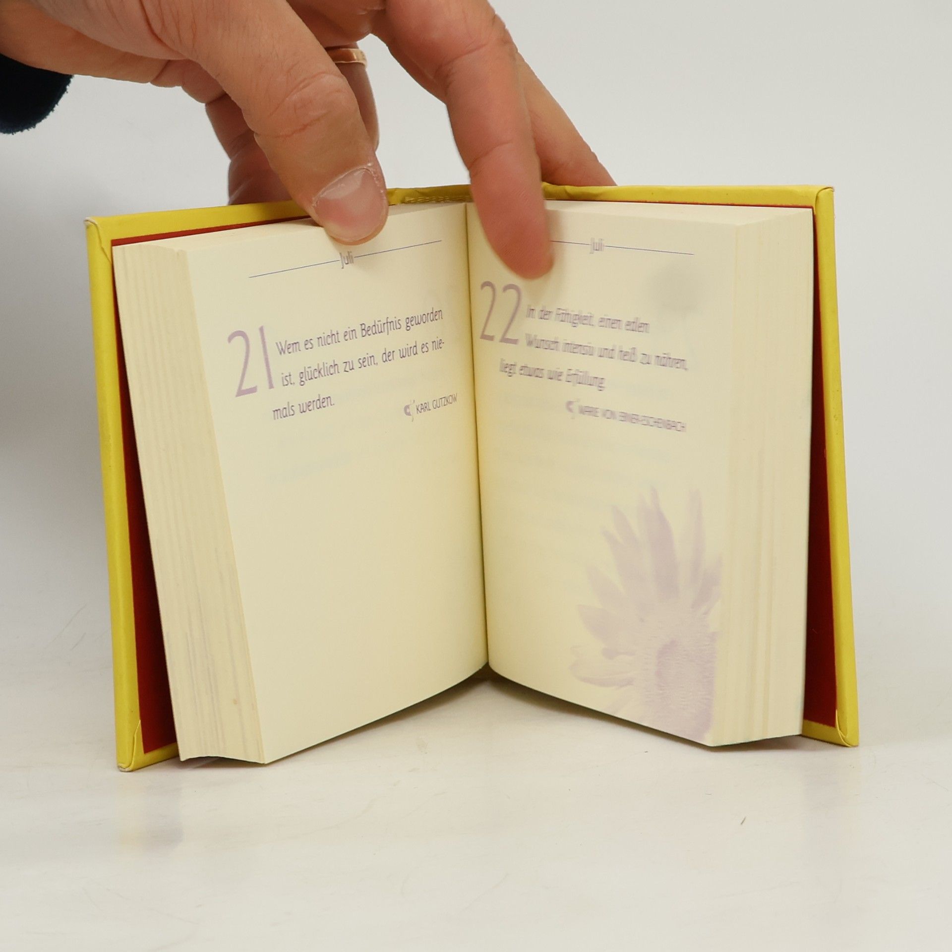 Glück für alle Tage (Ed. Kiefel)