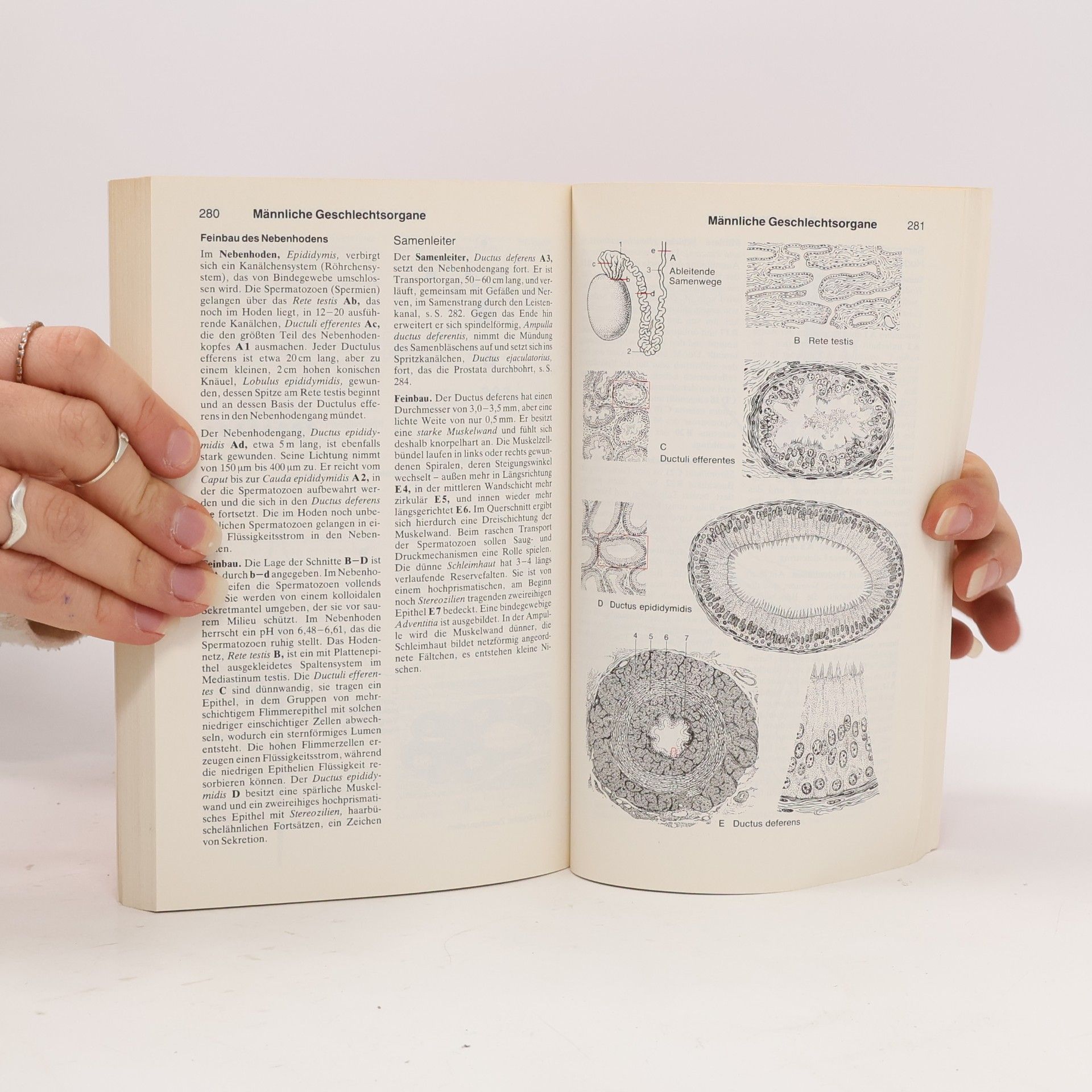 Helmut Leonhardt Dtv-Atlas der Anatomie, Tafeln und Texte. Innere Organe - Band 2