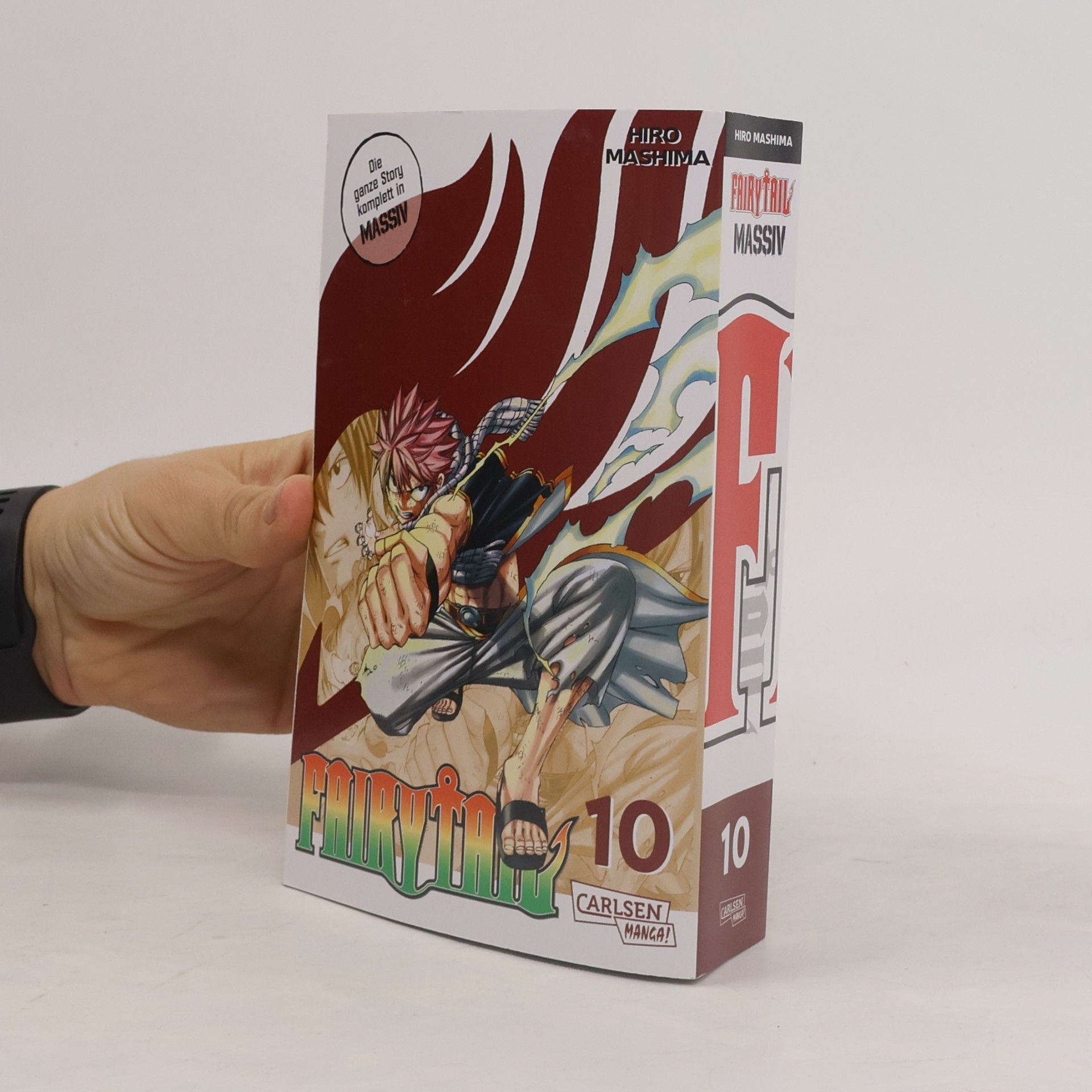 Fairy Tail Massiv 10
