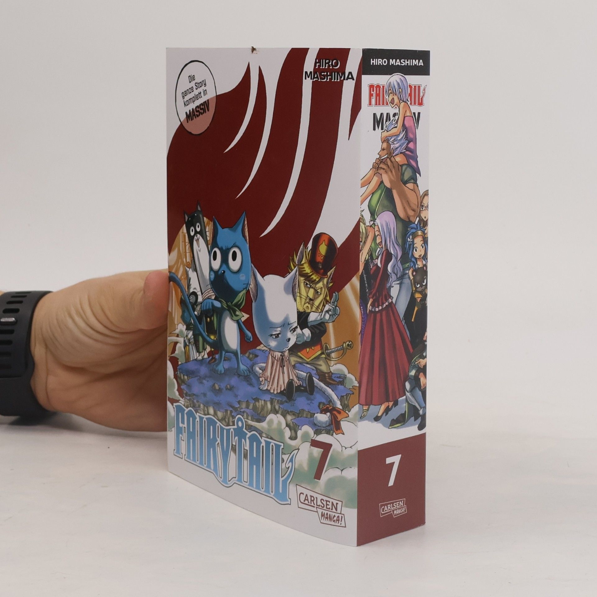 Hiro M. Fairy Tail Massiv 7