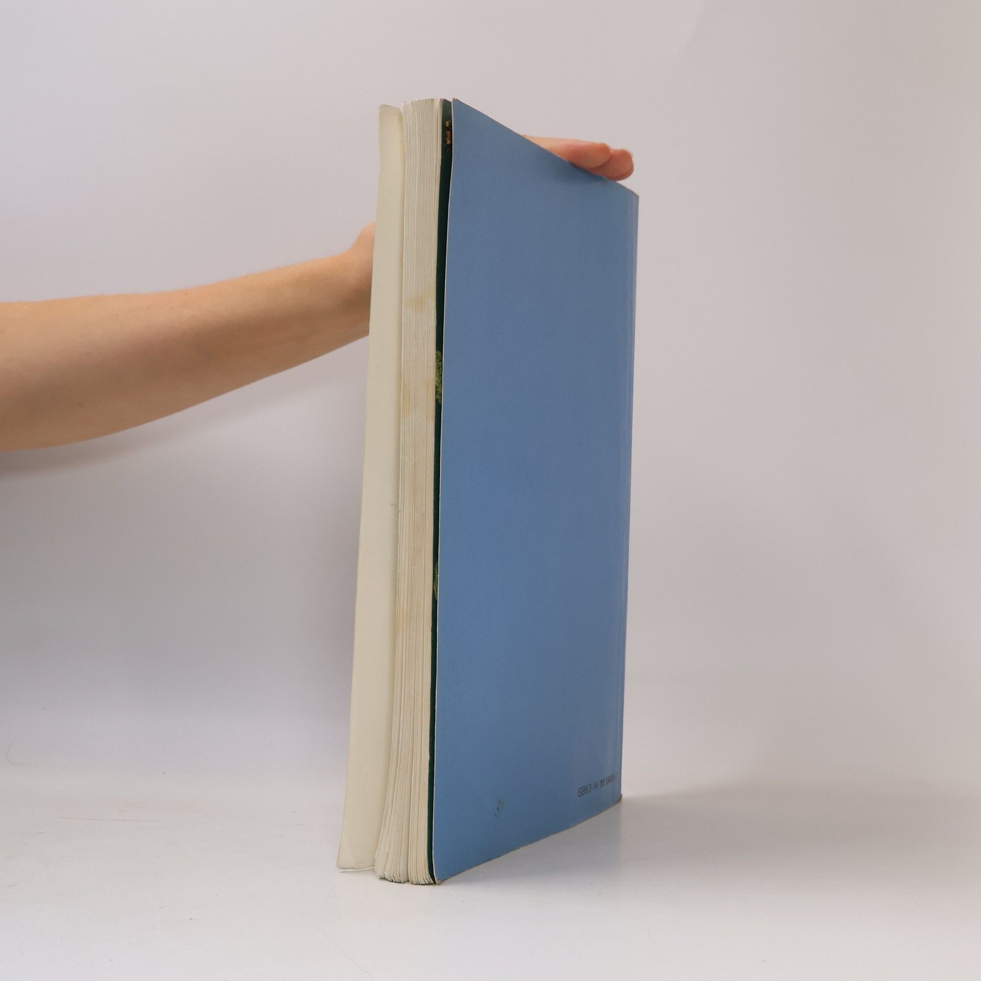 Denken und Rechnen - Rechenbuch für bayerische Grundschulen