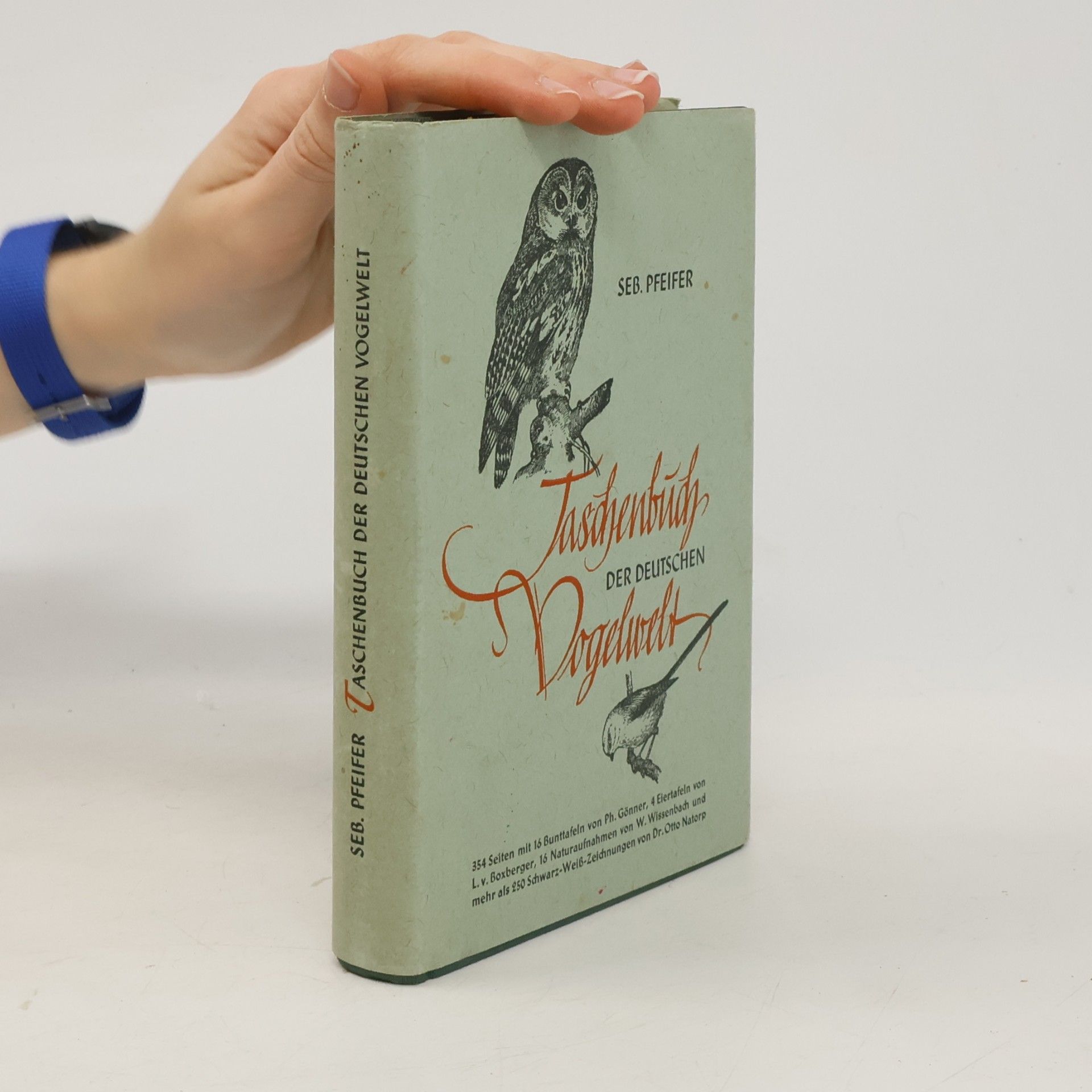 Taschenbuch der deutschen Vogelwelt