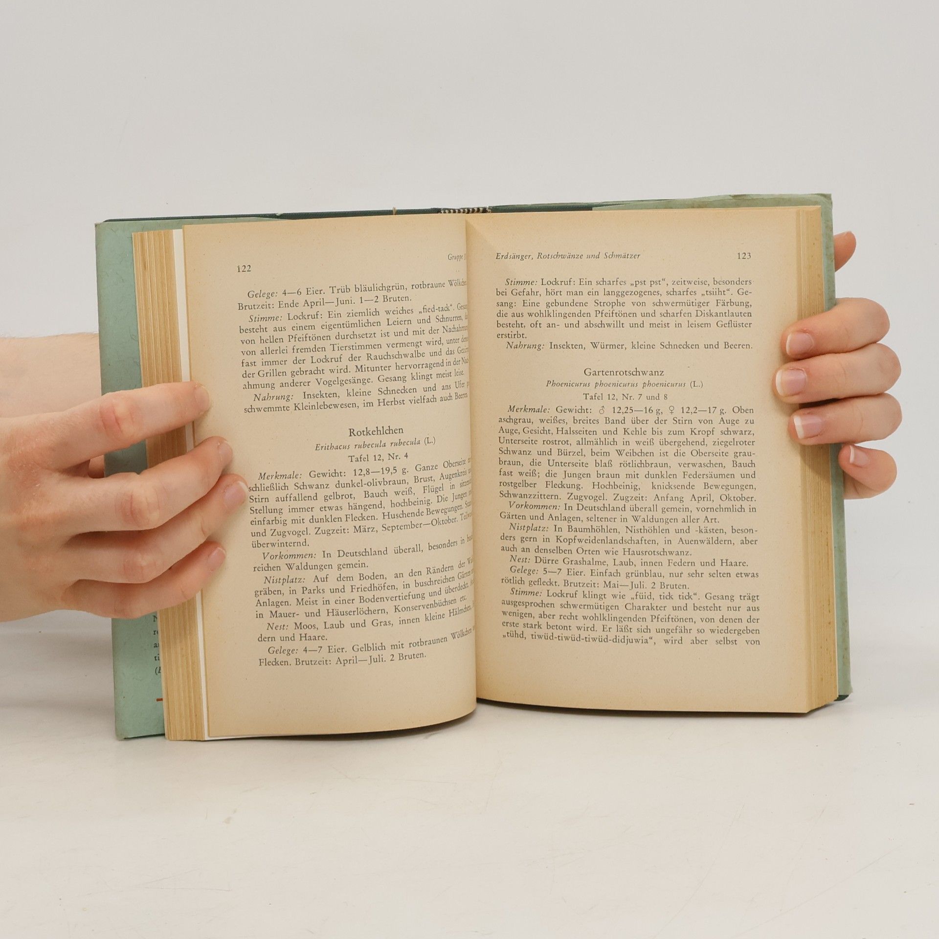 Seb. Pfeifer Taschenbuch der deutschen Vogelwelt