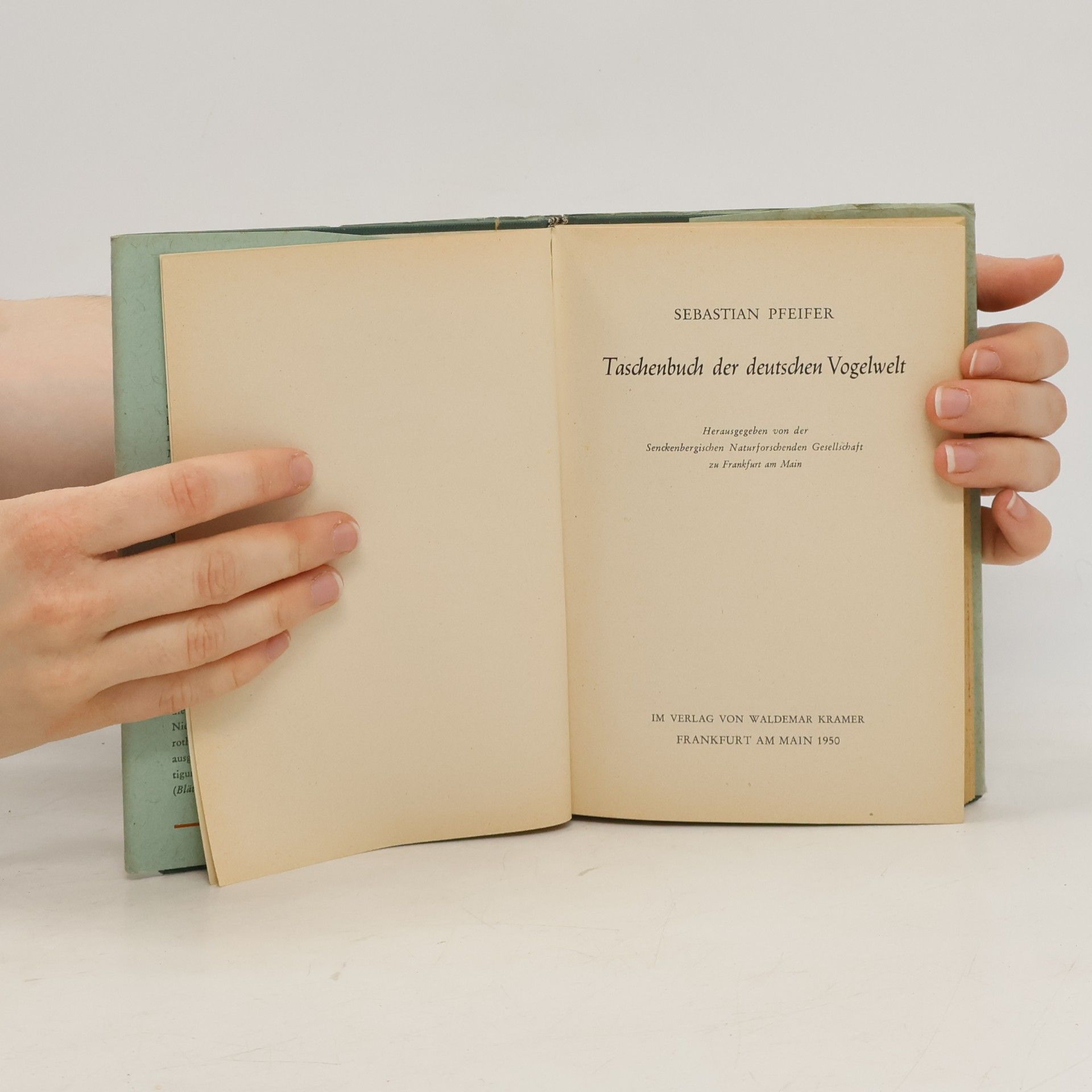 Seb. Pfeifer Taschenbuch der deutschen Vogelwelt