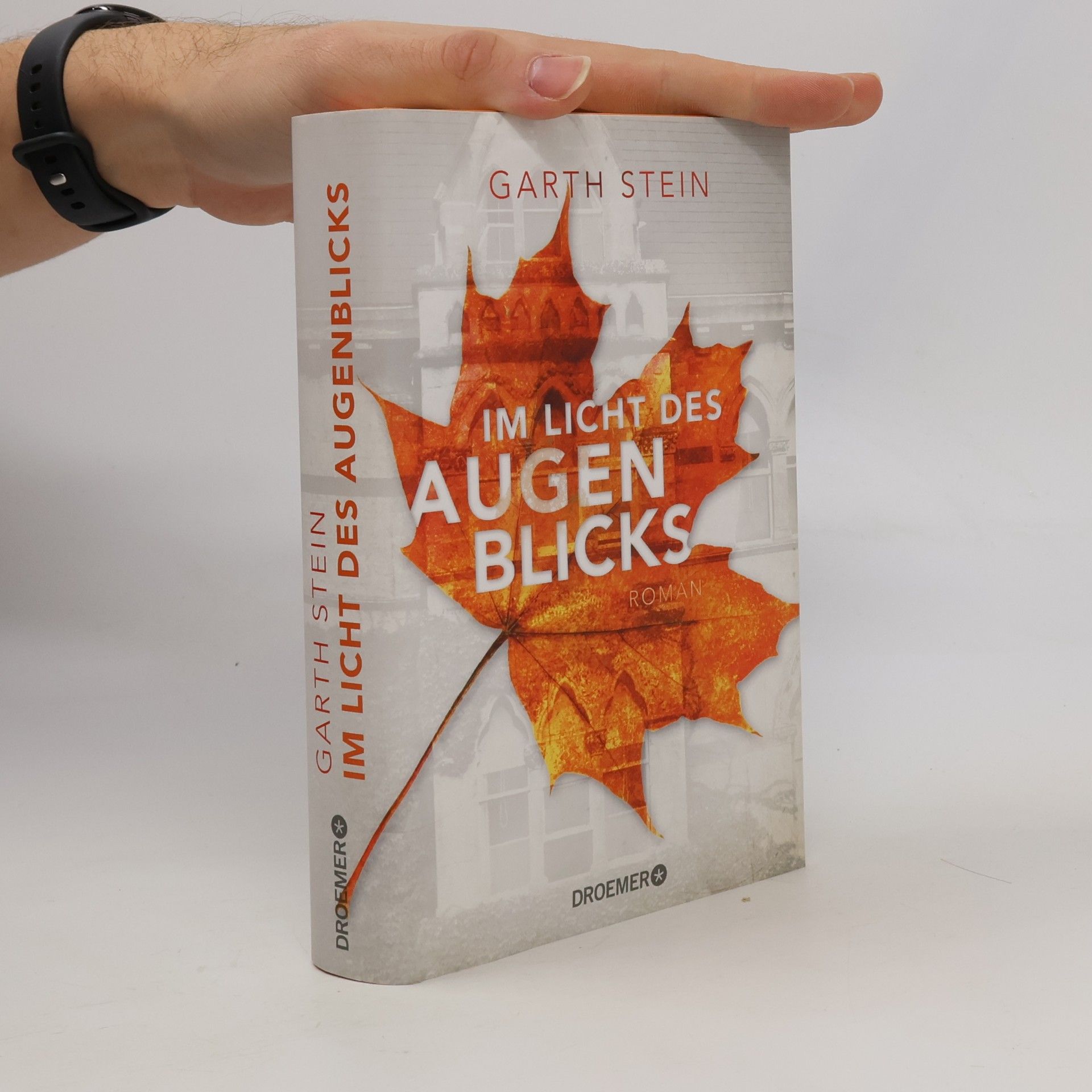 Im Licht des Augenblicks