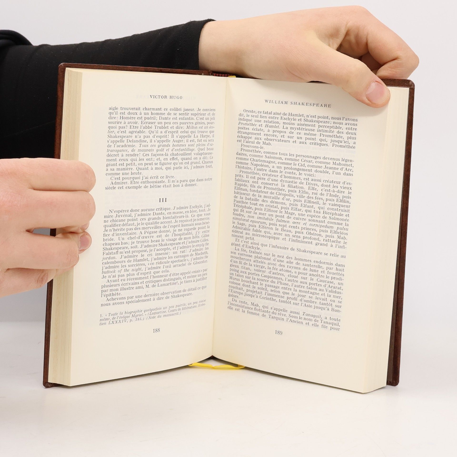 Victor Hugo Oeuvres critiques