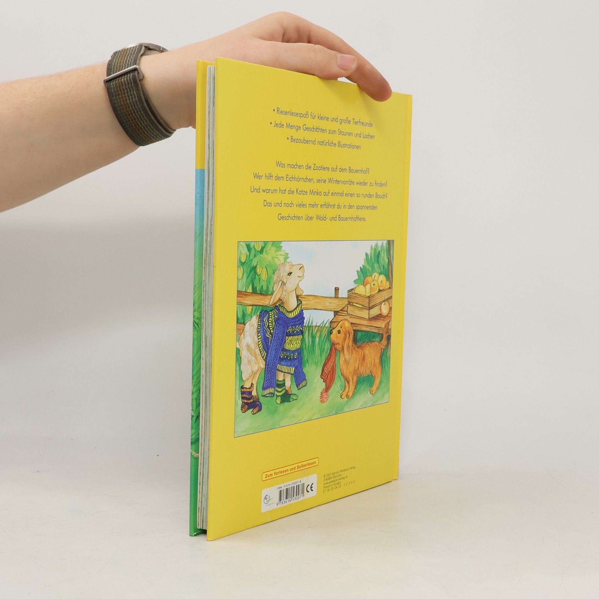 Various authors Mein grosses Tiergeschichtenbuch