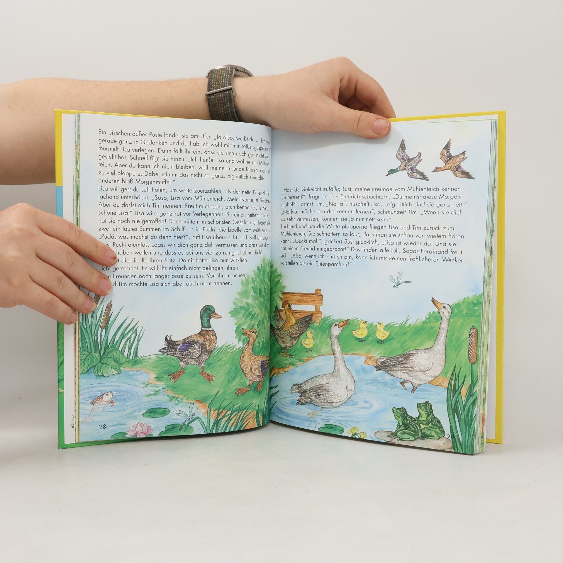 Various authors Mein grosses Tiergeschichtenbuch