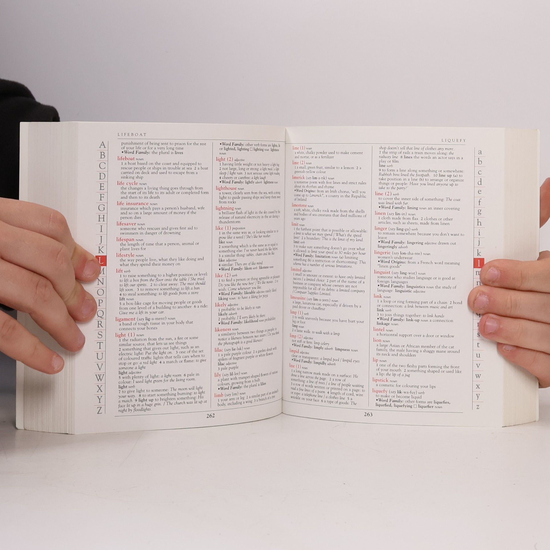 Autores varios School dictionary