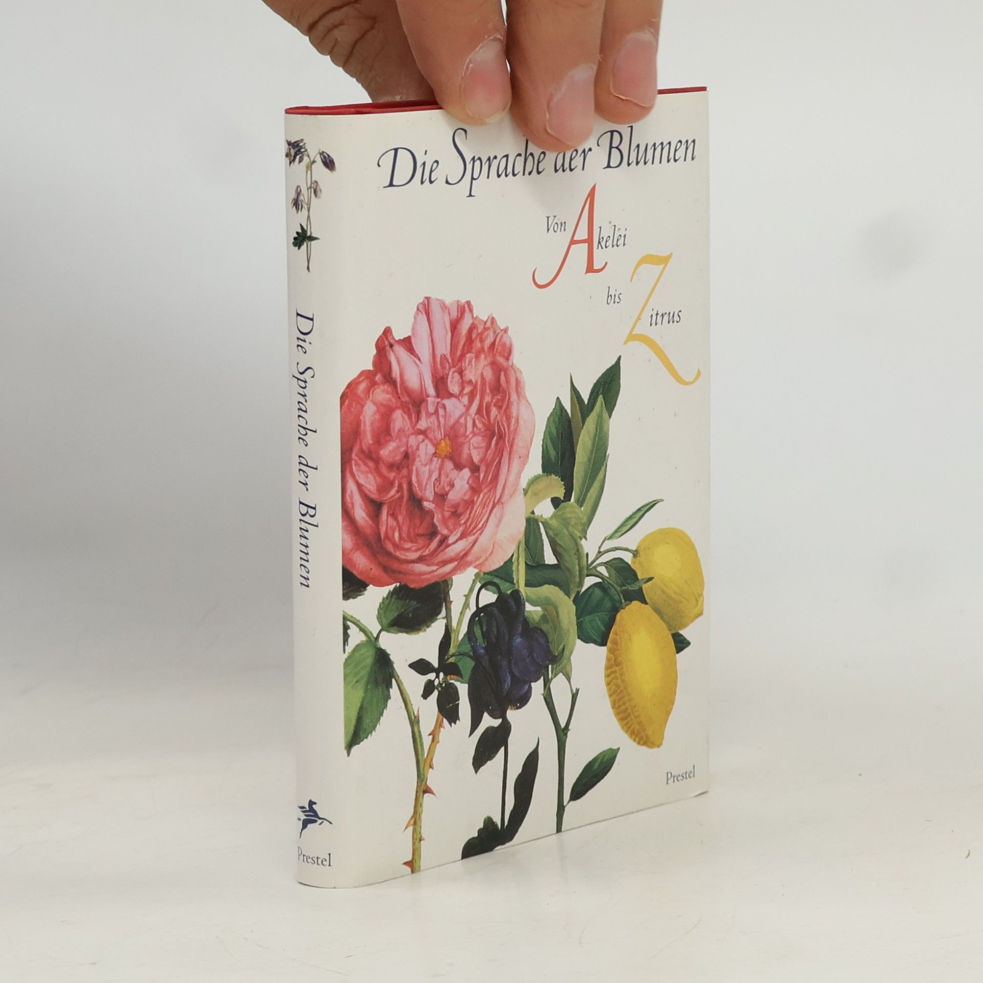 Marina Heilmeyer Die Sprache der Blumen