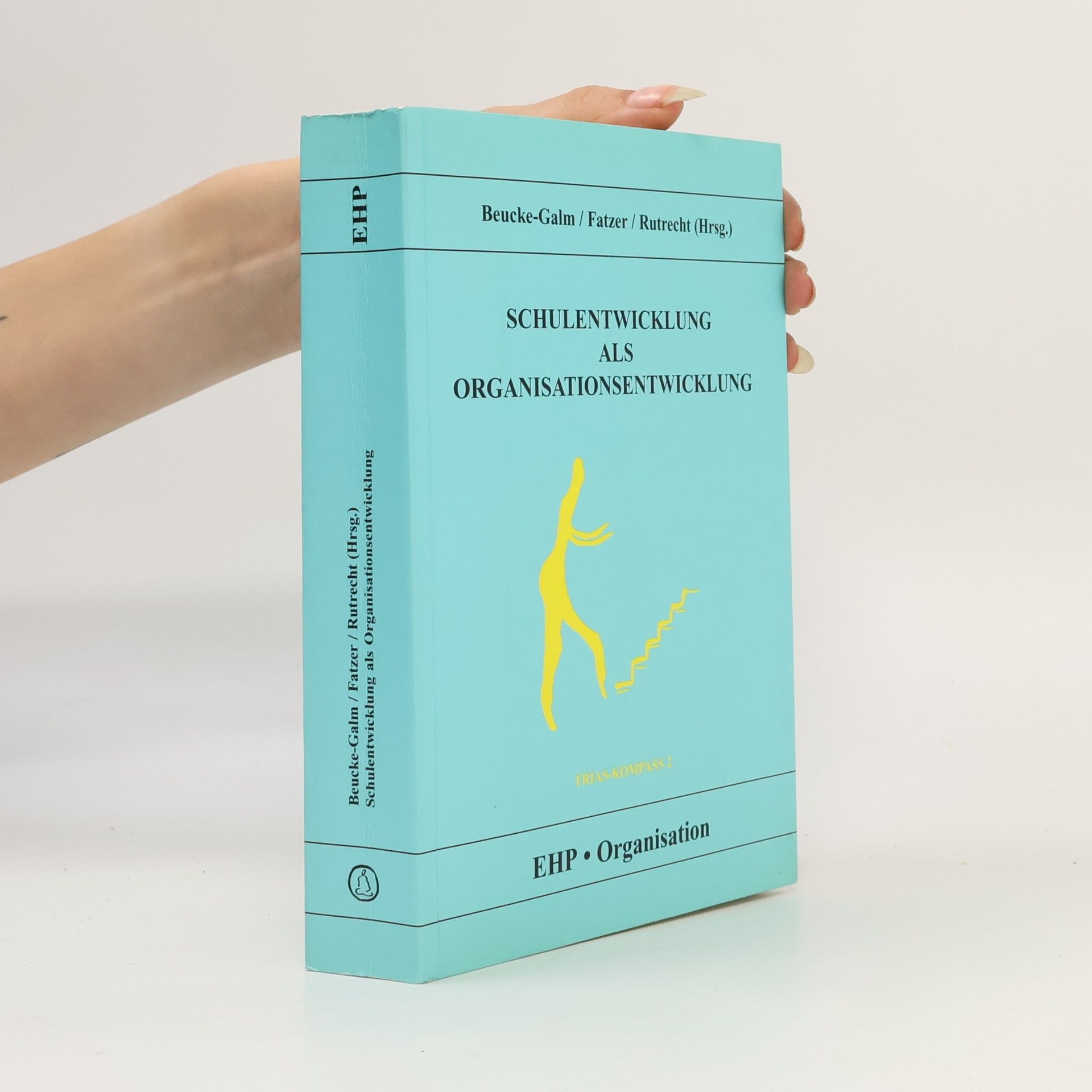 Schulentwicklung als Organisationsentwicklung