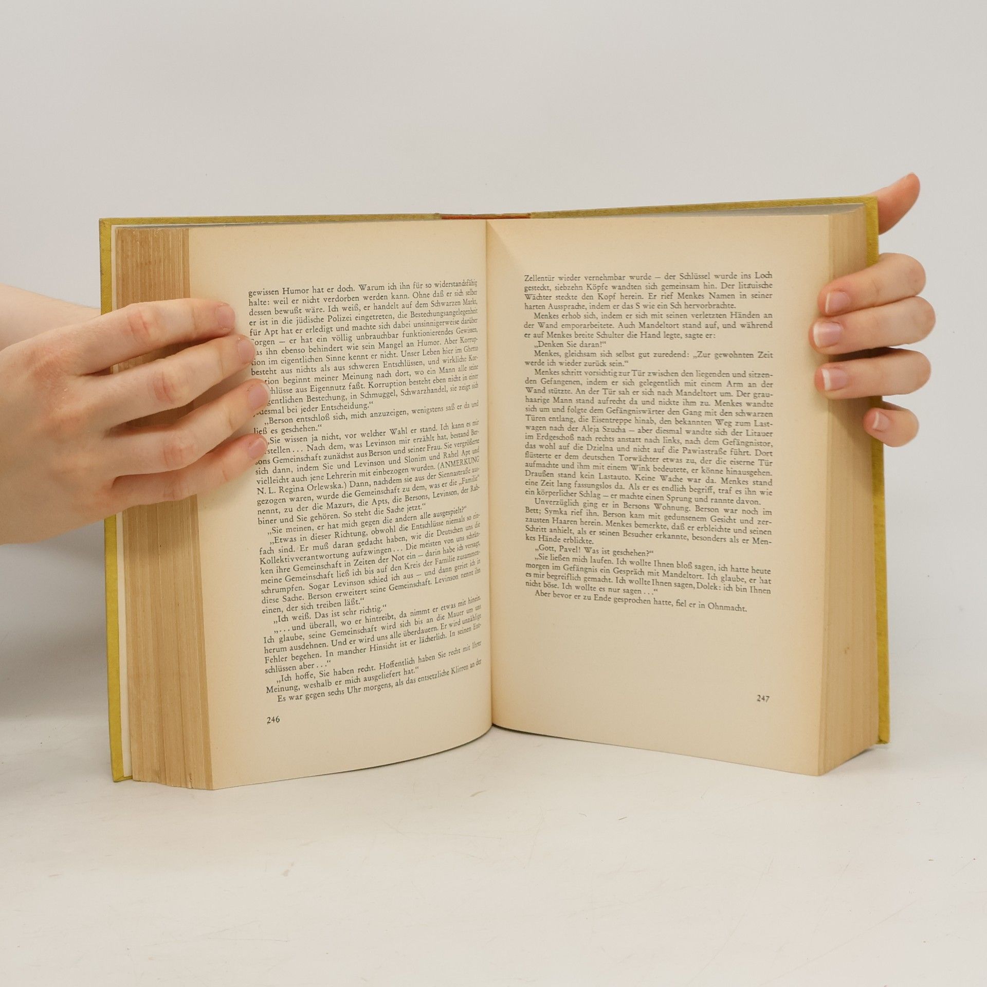 John Hersey Der Wall