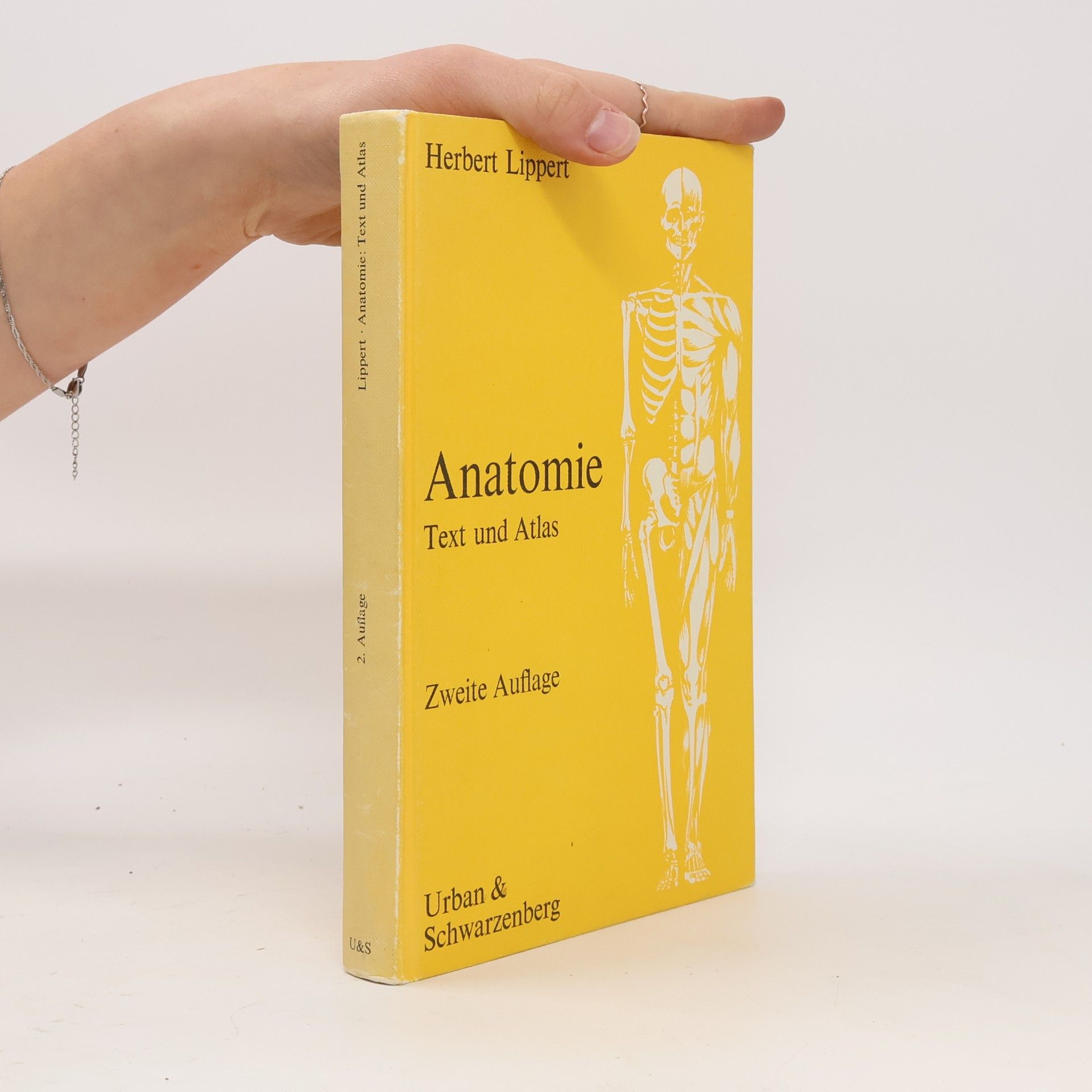 Anatomie