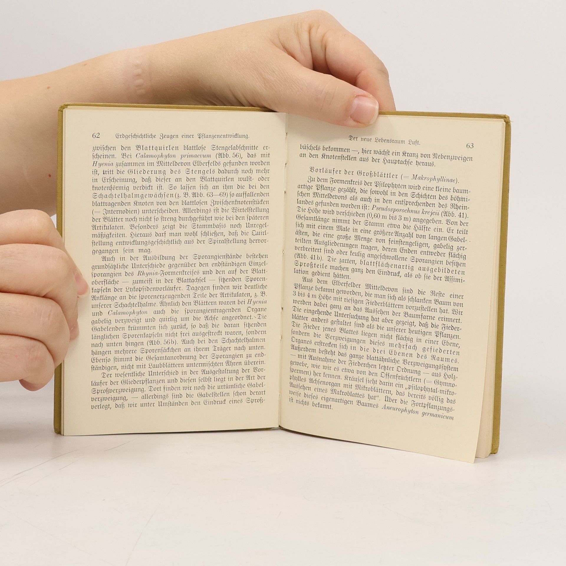Hans Heil Entwicklungsgeschichte des Pflanzenreiches