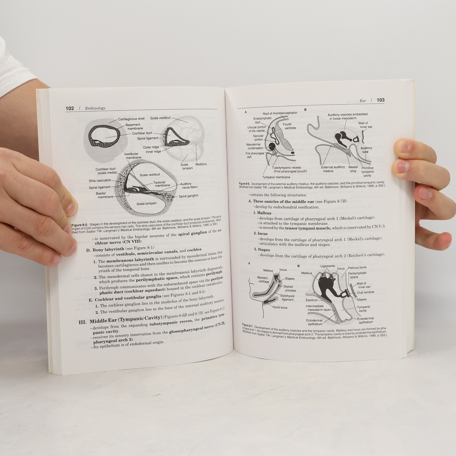 James D. Fix Board Review Series: Embryology