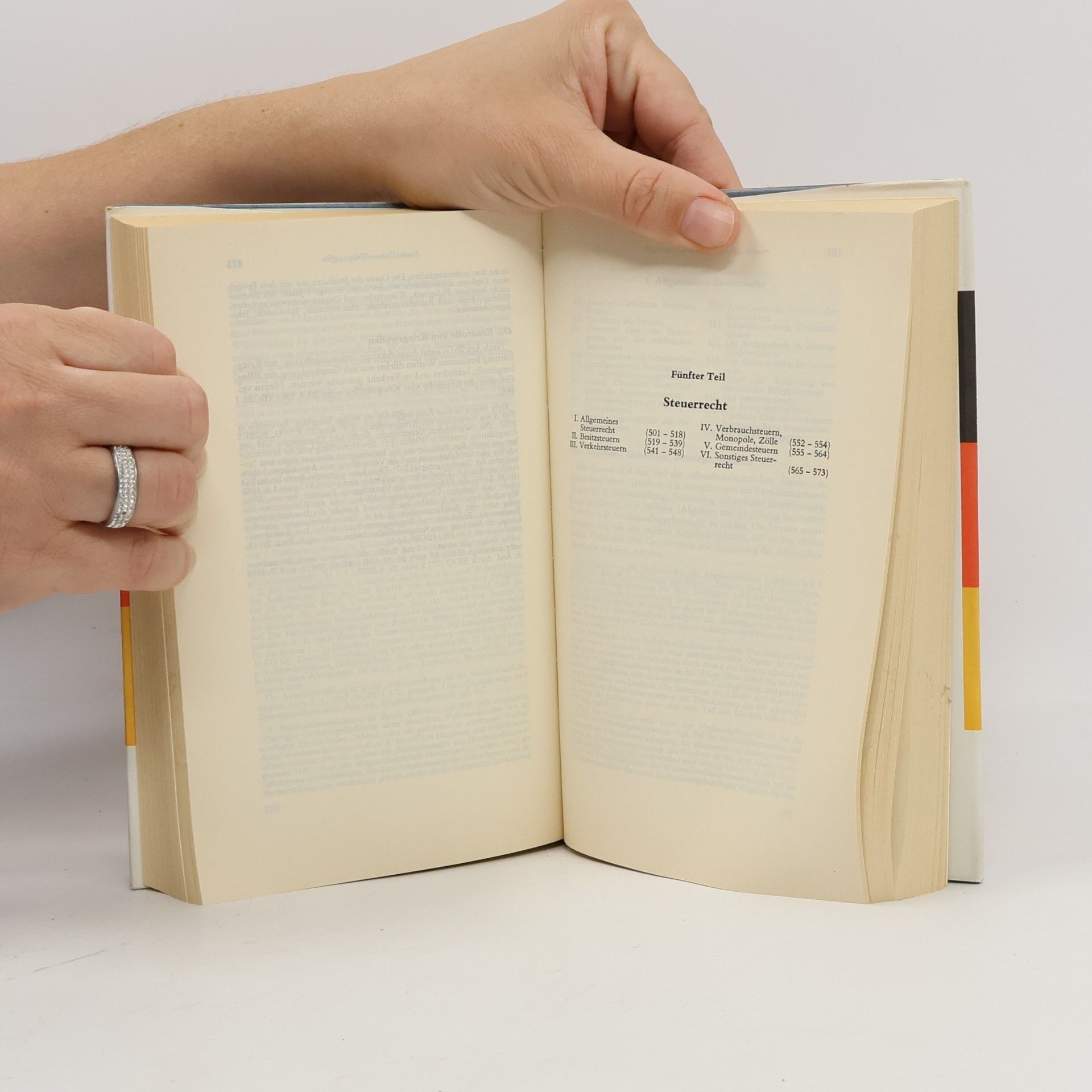 Otto Model Staatsbürger - Taschenbuch