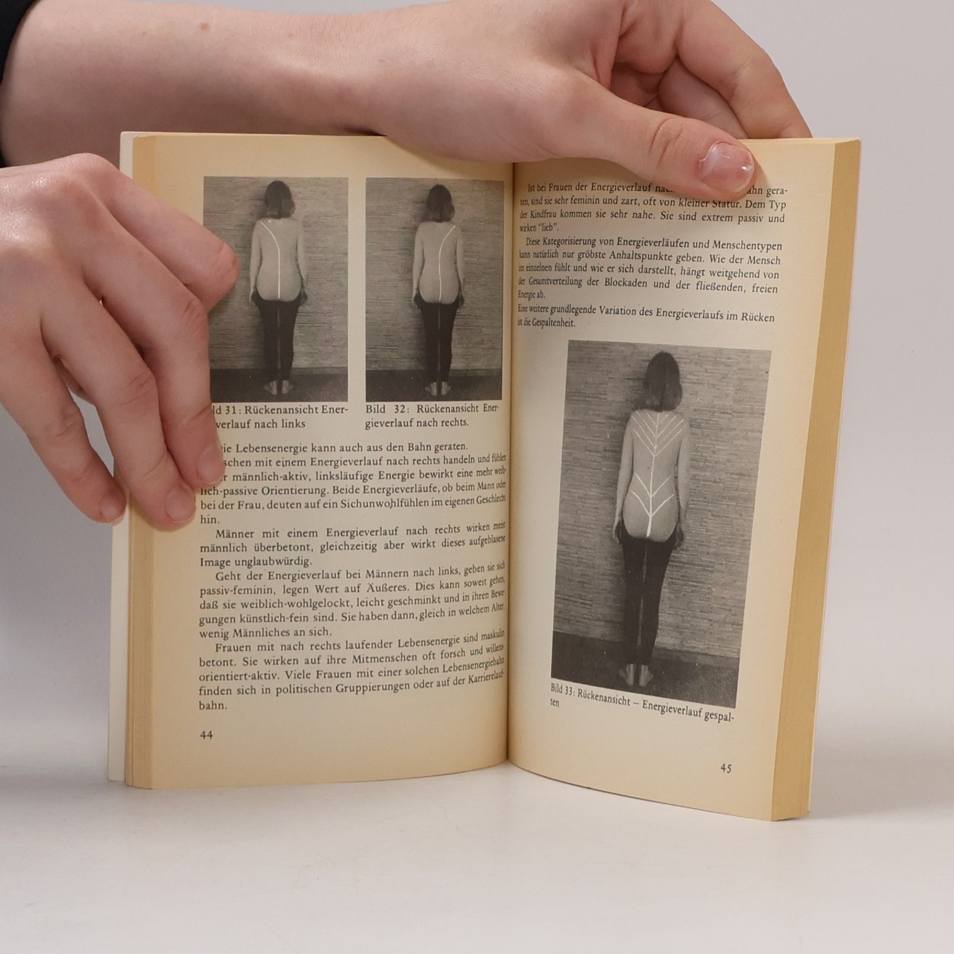 Wilfried Teschler Das Polarity-Handbuch
