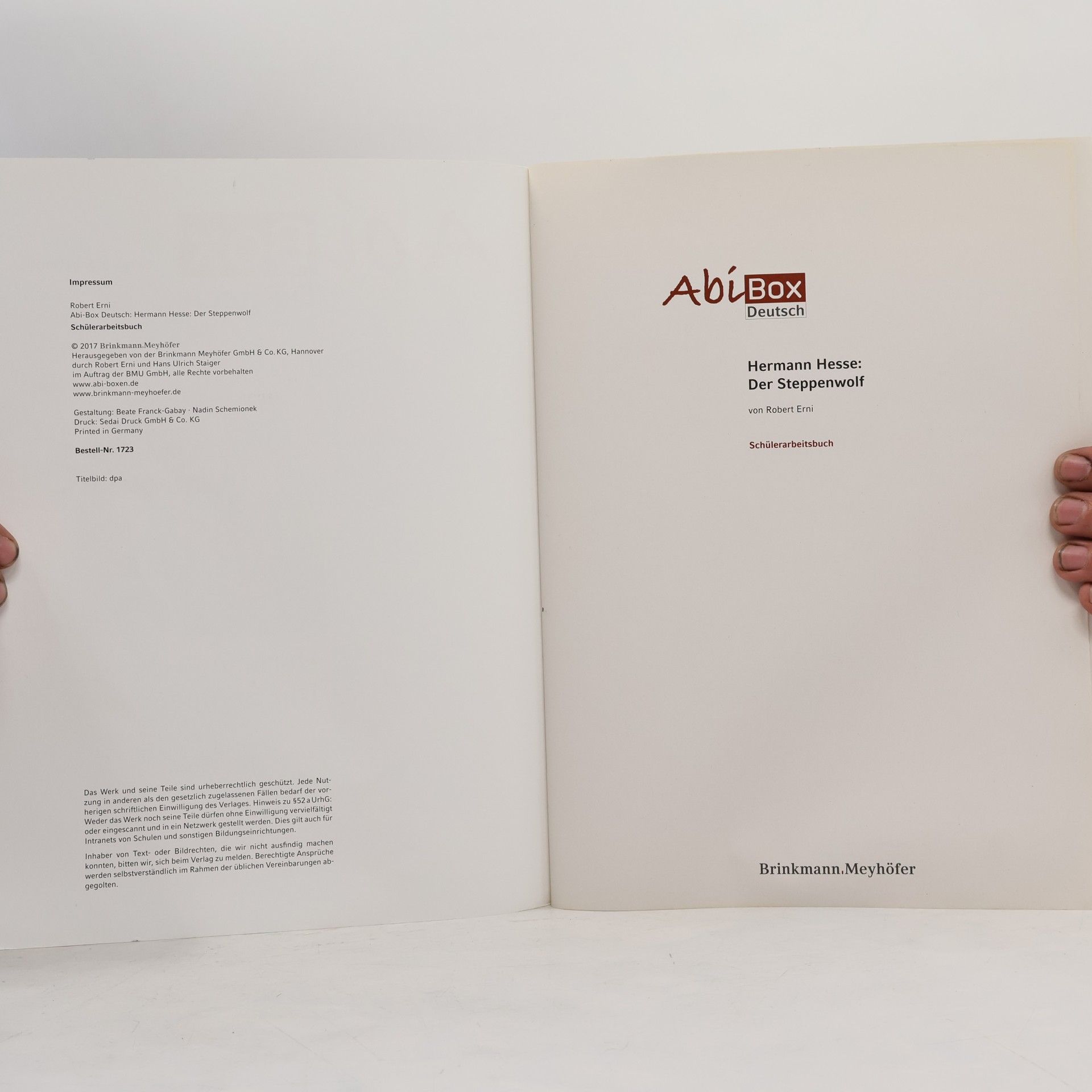 Hermann Hesse AbiBox Deutsch, Der Steppenwolf